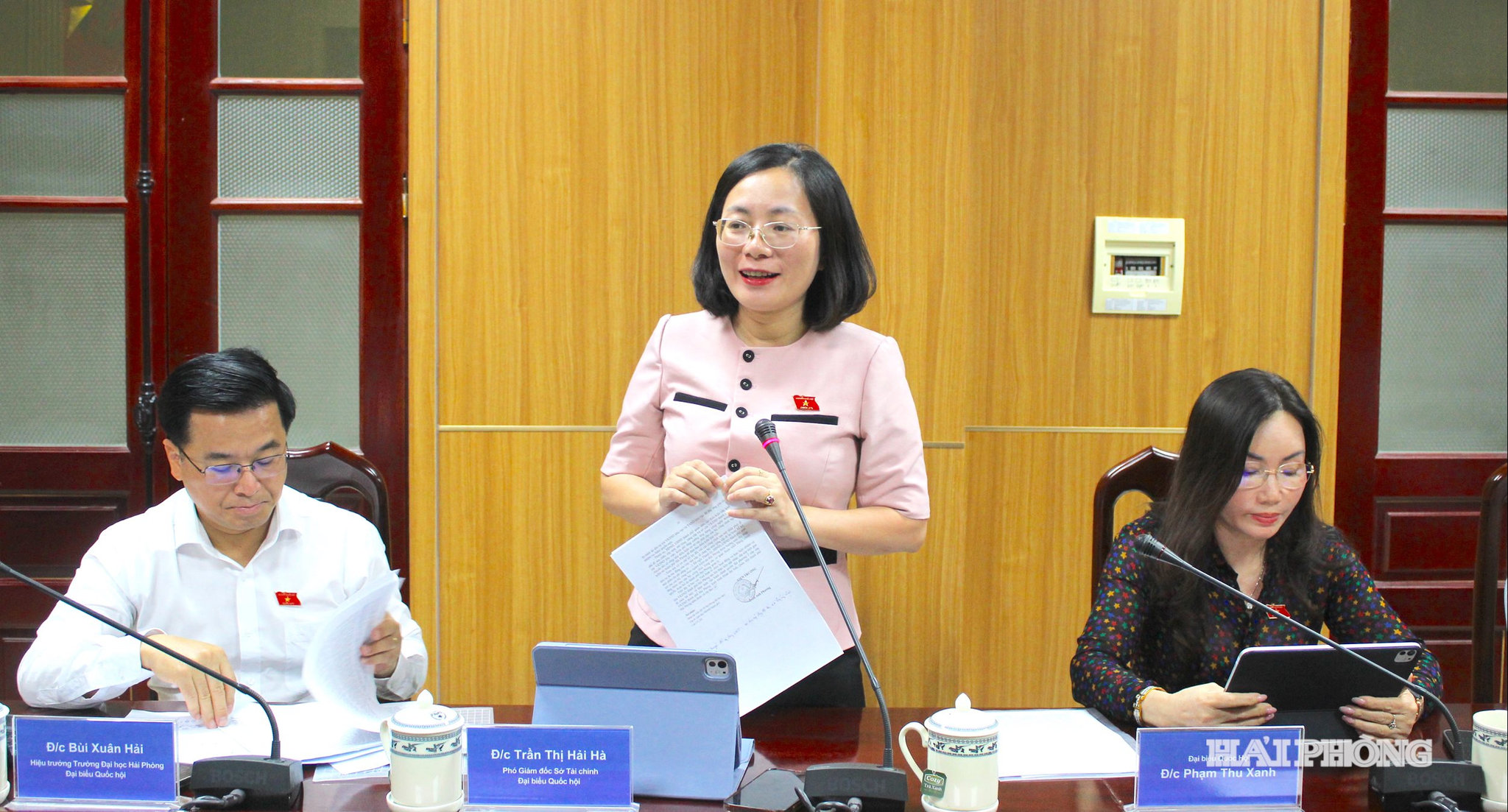 tran-thi-hai-ha.jpg