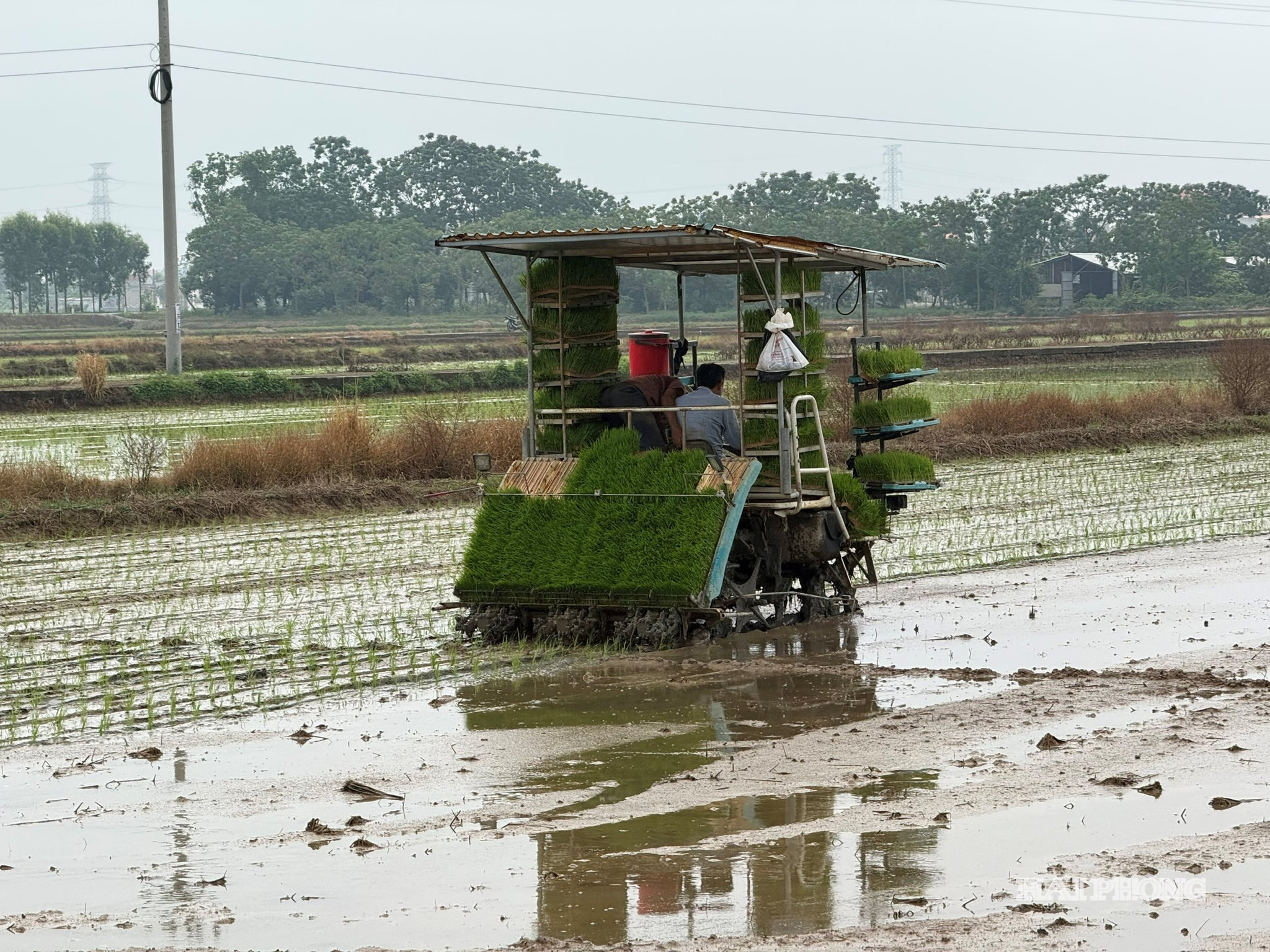 nong-nghiep-2.jpg