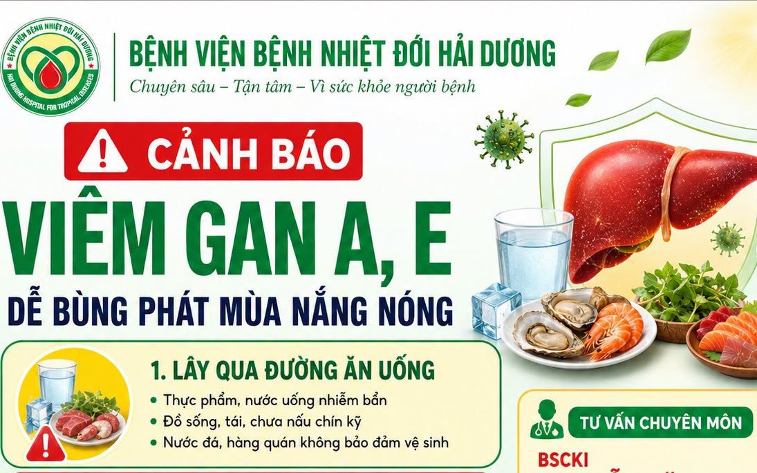 viem-gan-a-viem-gan-c.jpg