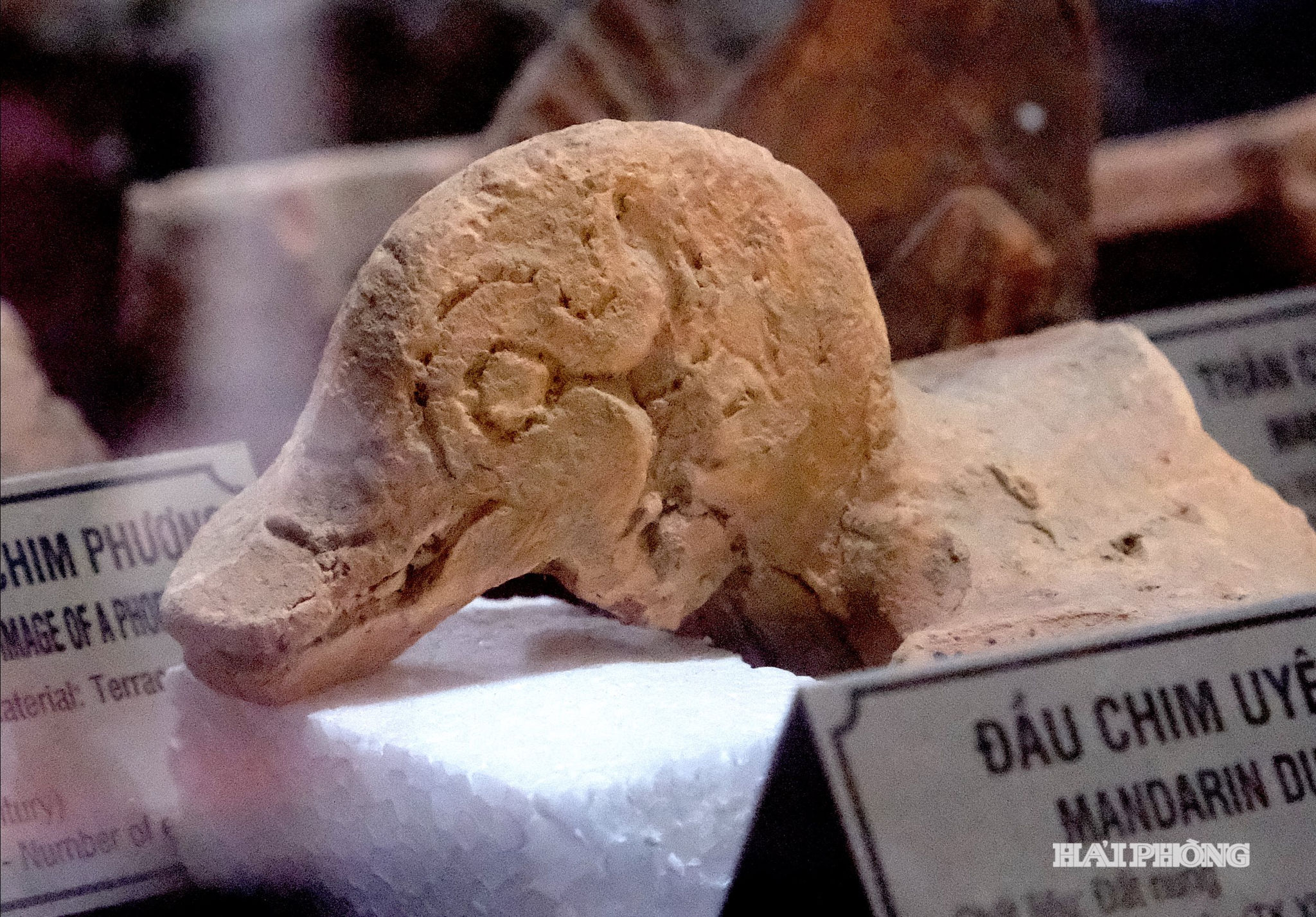 dau-chim-uyen-uong.jpg