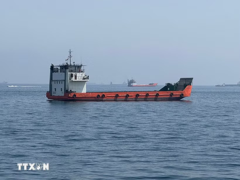 Tàu thương mại chờ đi qua eo biển Hormuz. (Ảnh: THX/TTXVN phát)