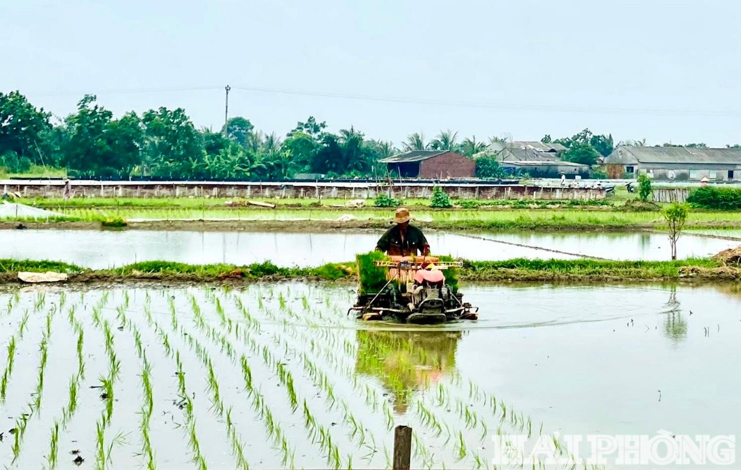 nong-dan-xa-tan-ky(1).jpg