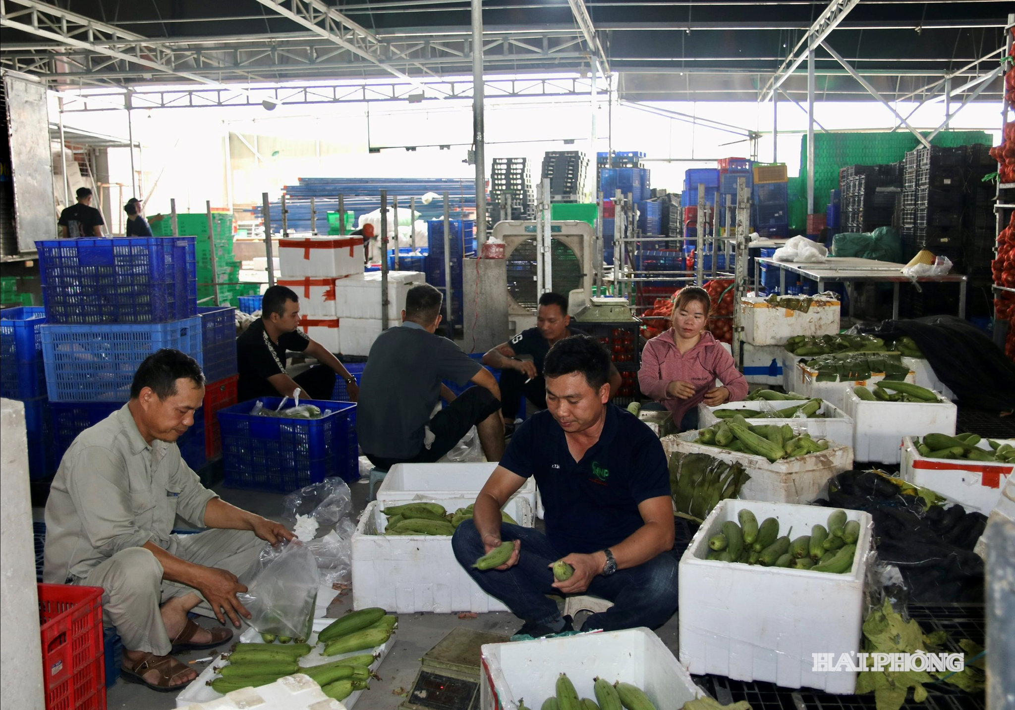 hoang-nam-phat.jpg