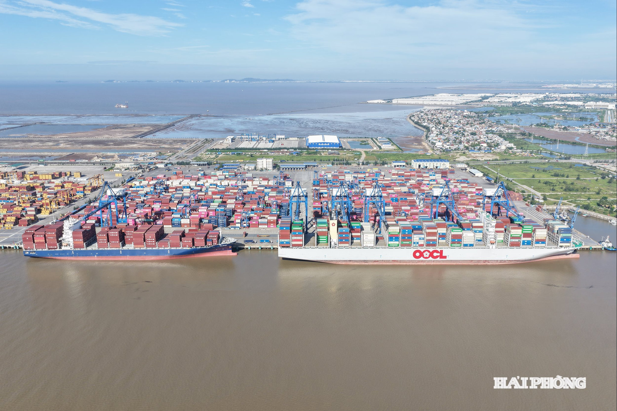 tau-oocl-2_watermarked.jpg