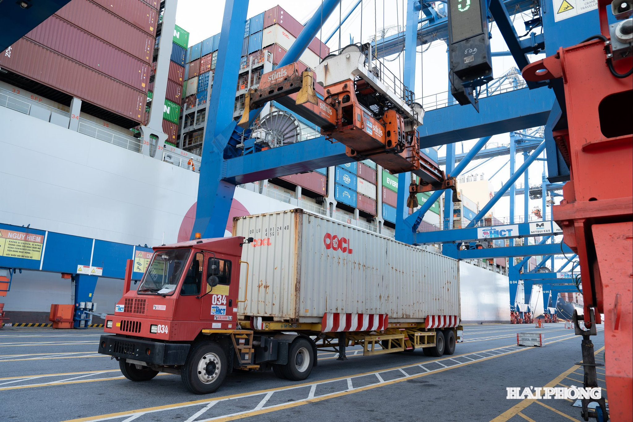 tau-oocl-3_watermarked.jpg