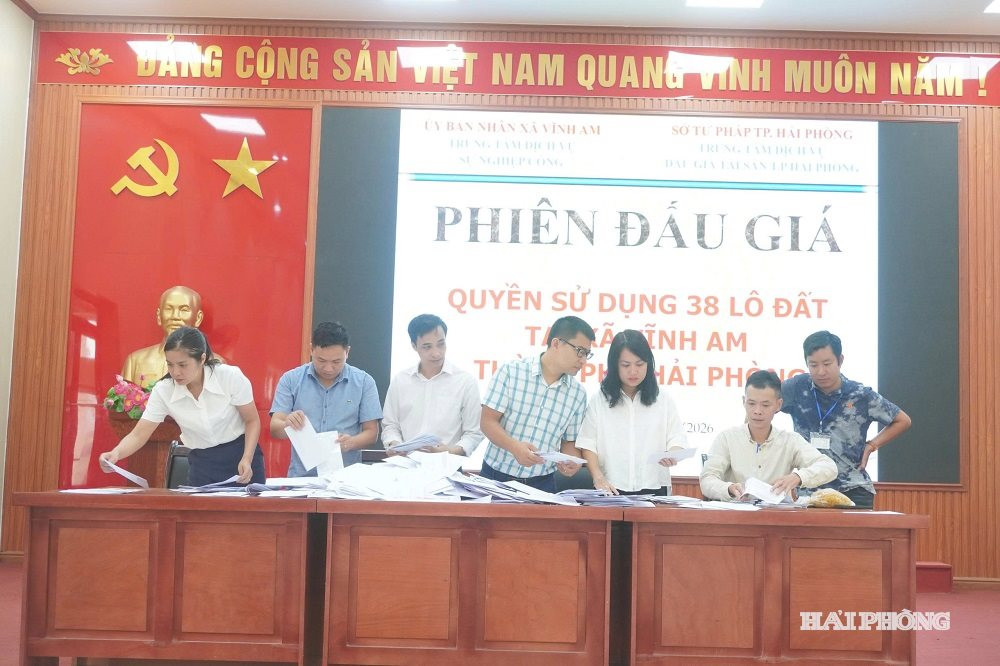 dau-gia 1