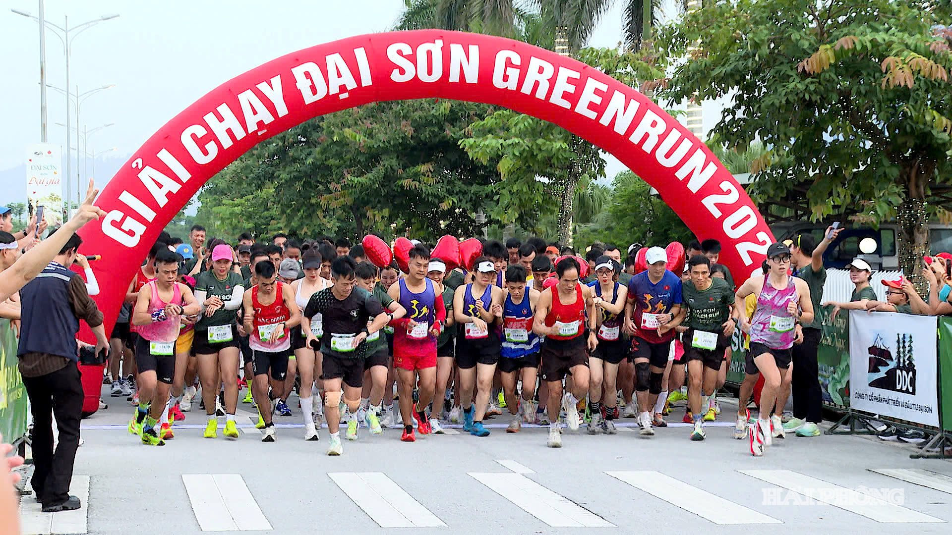 giai-chay-dai-son.jpg