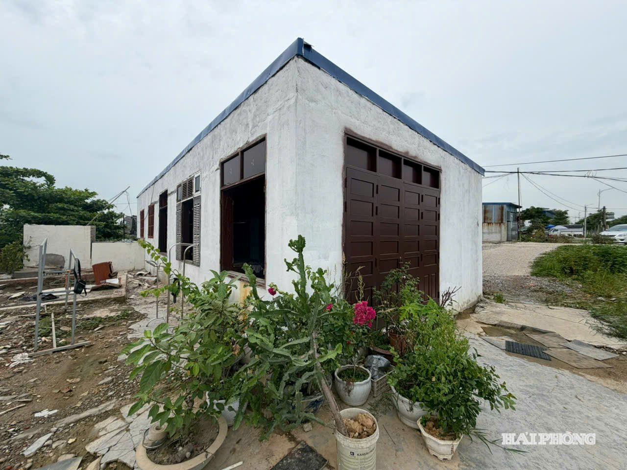 cuong che 3