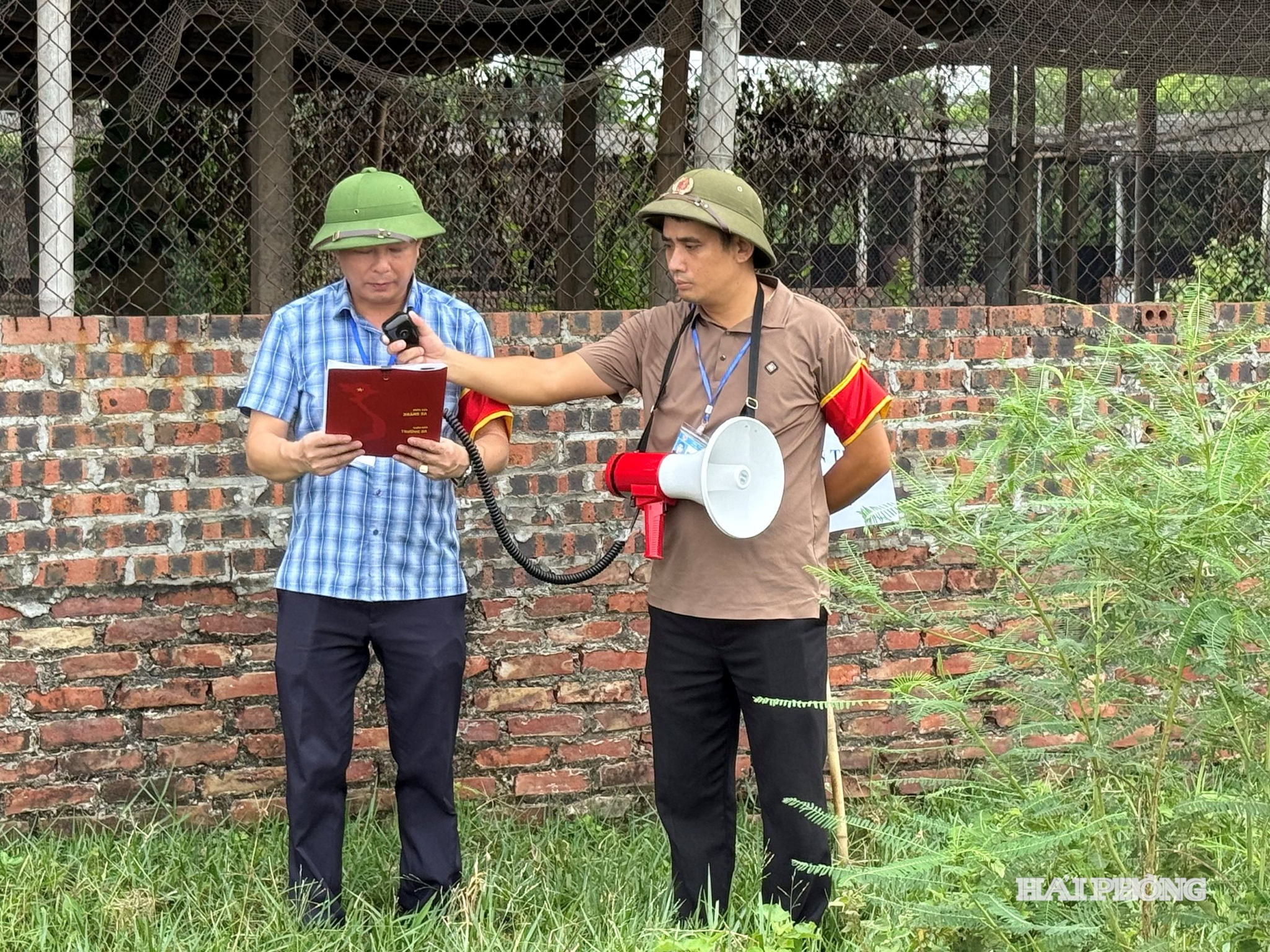 cuong-che-1.jpg