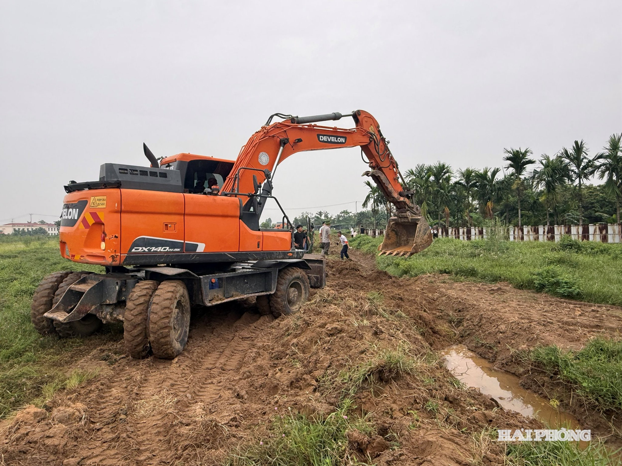 cuong-che-2.jpg