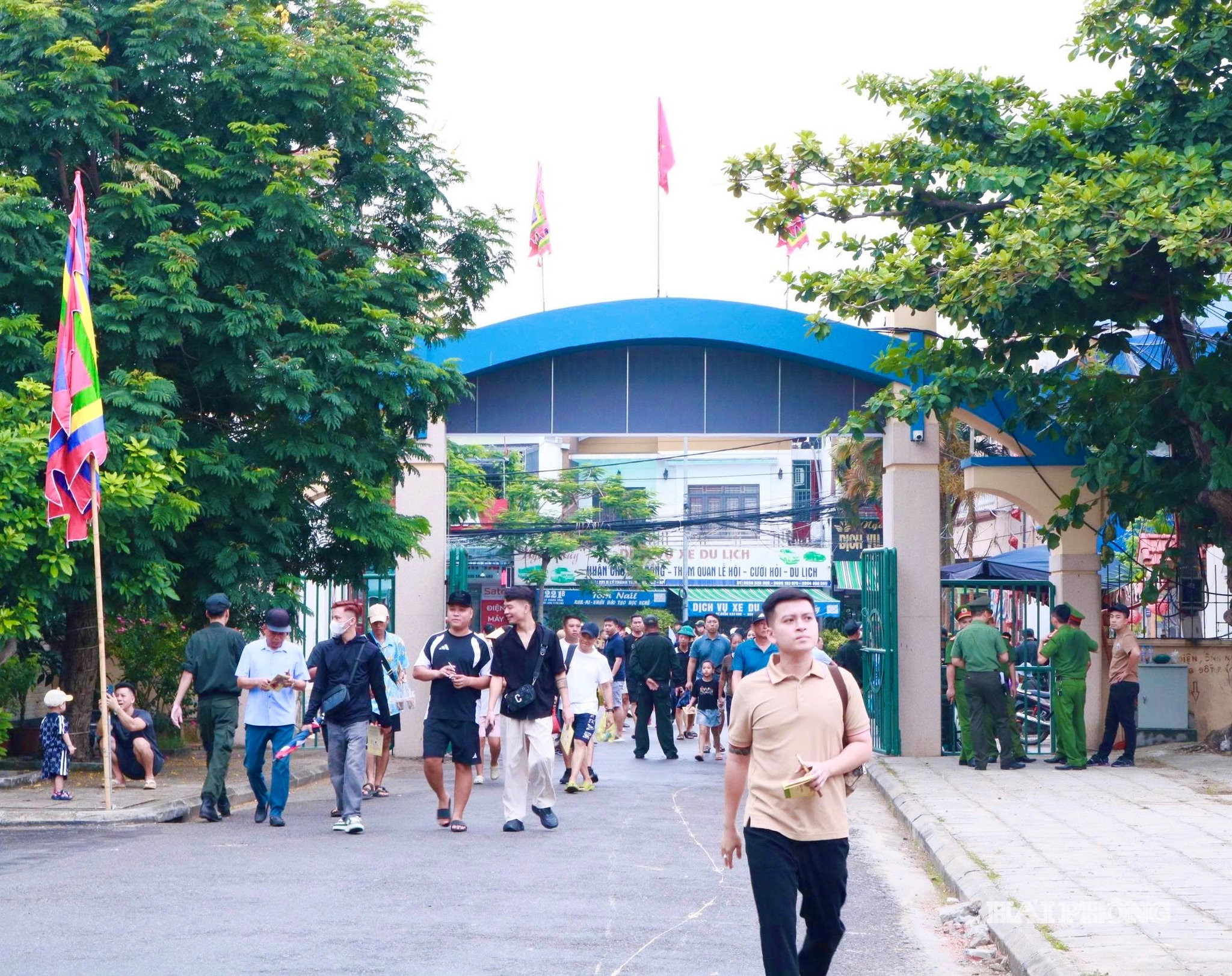 vong loai trau 5