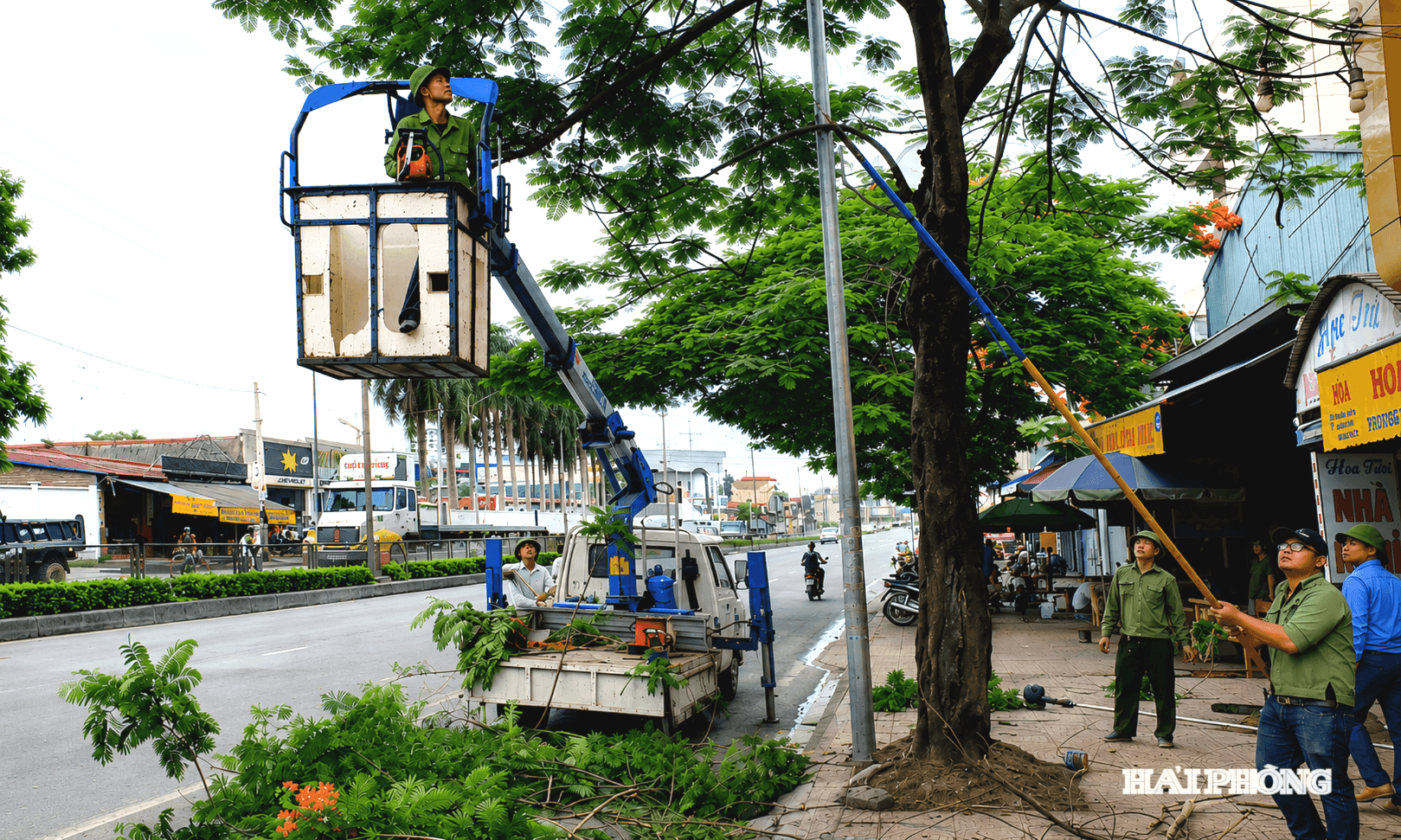 cay-xanh2(1).png