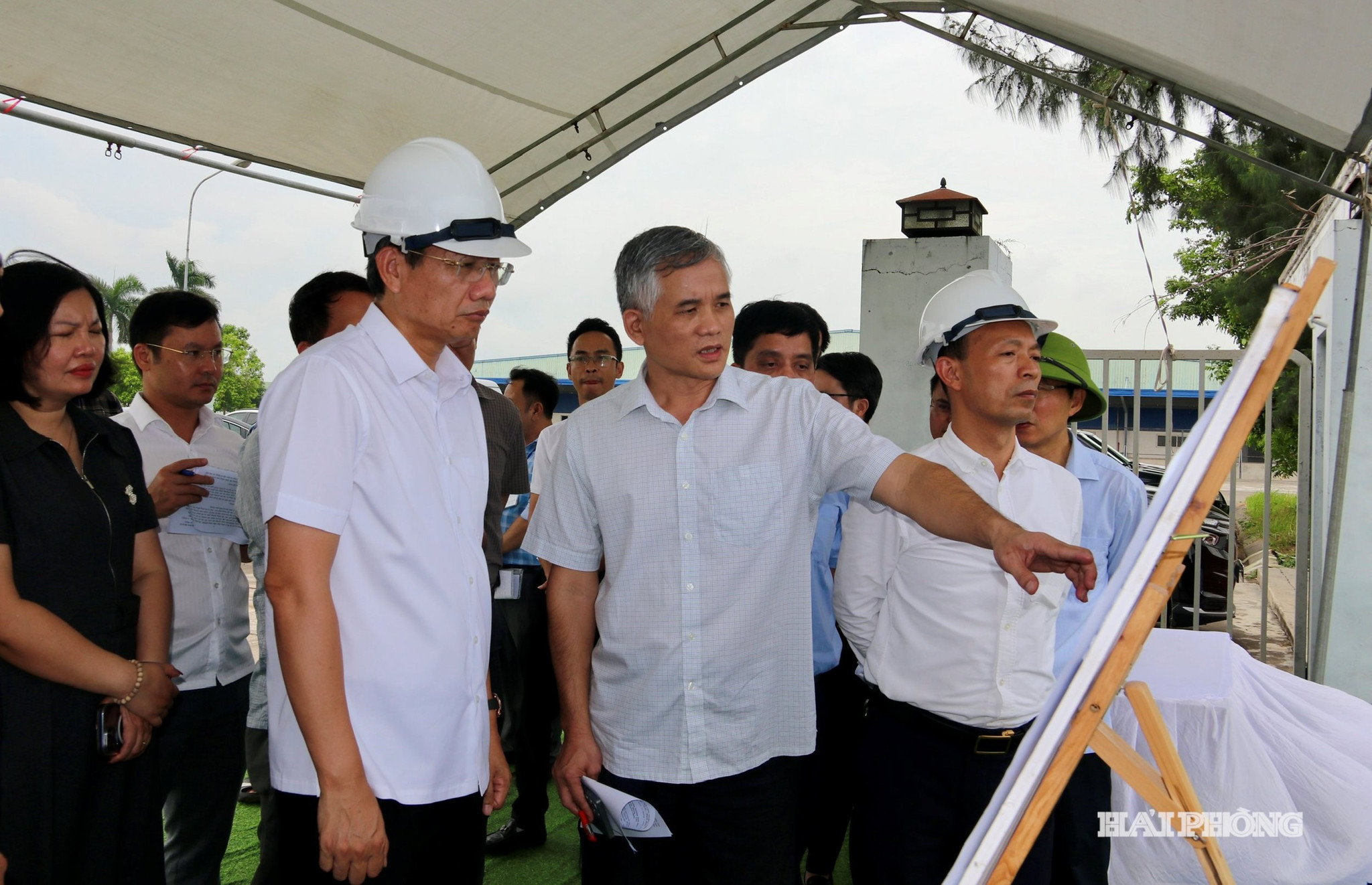 duong-tinh-391.jpg