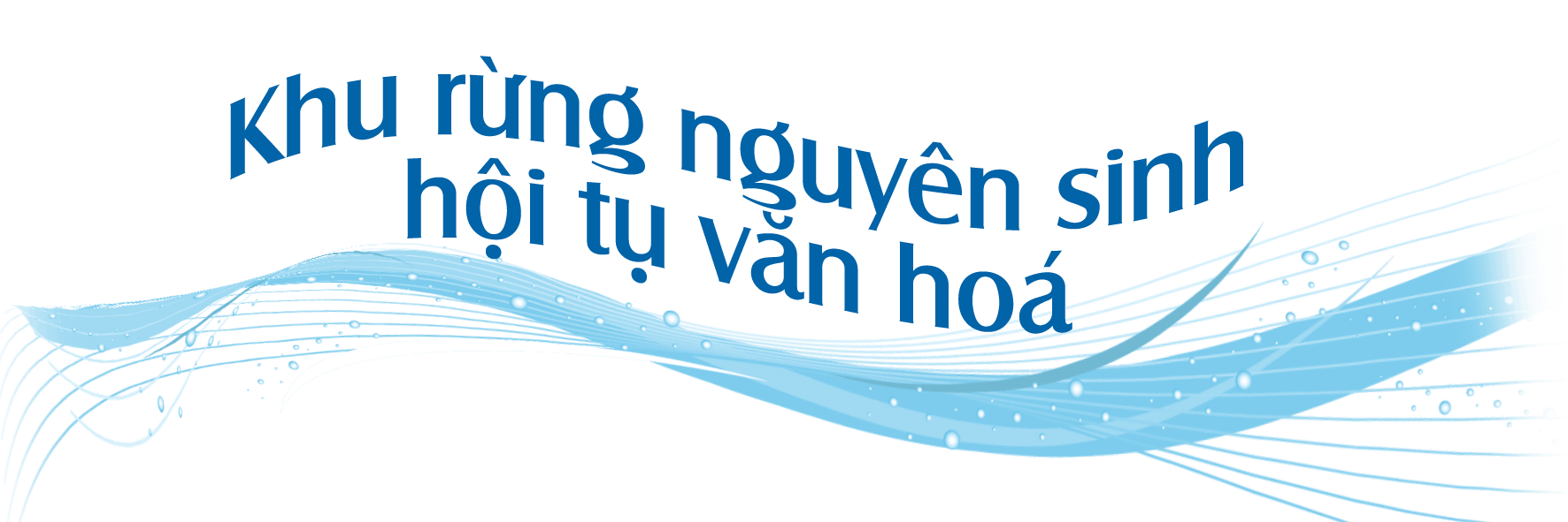 khu rung