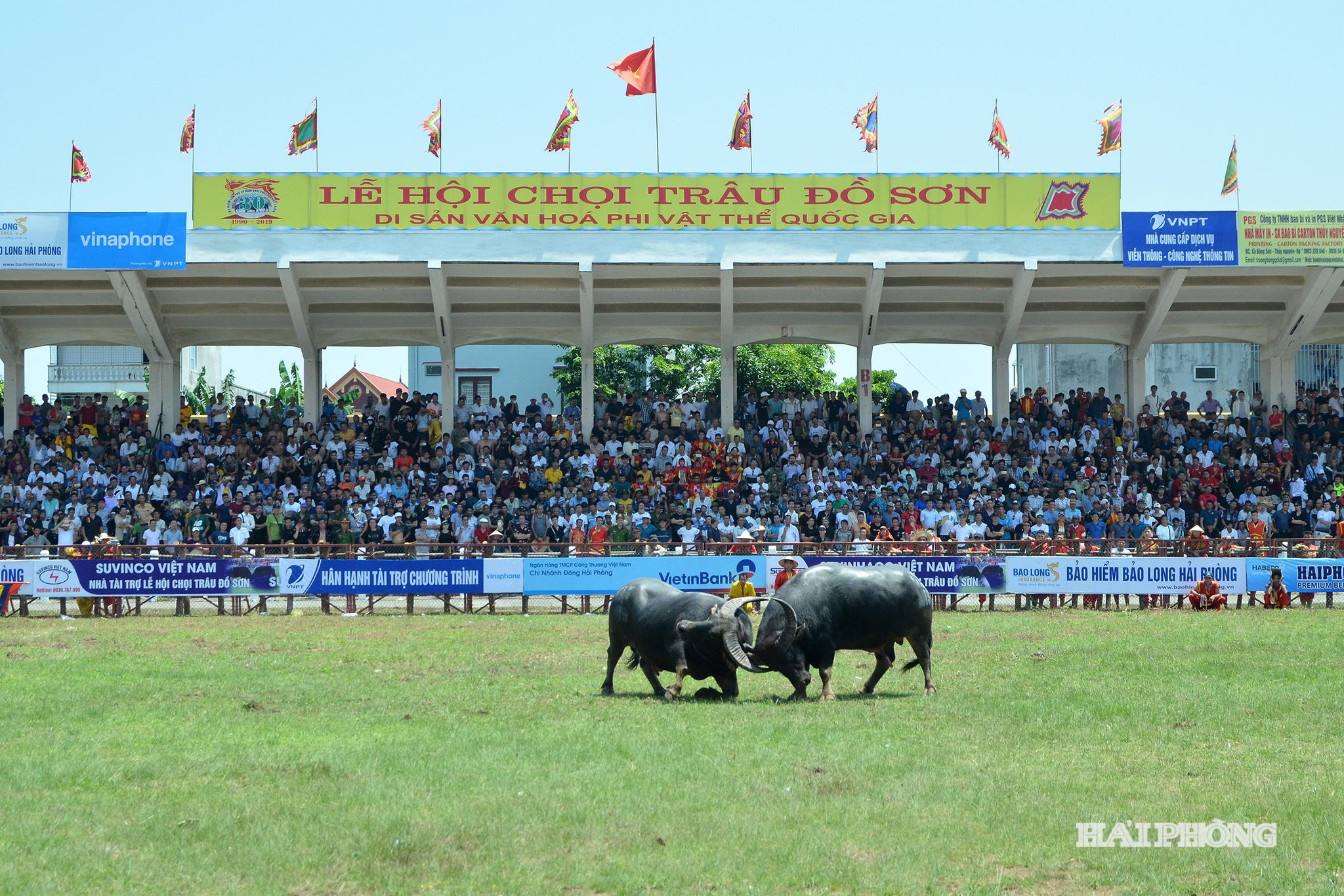 Những nỗ lực trùng tu di tích, phục dựng lễ hội và gìn giữ các giá trị truyền thống đã góp phần quan trọng trong việc bảo vệ bản sắc dân tộc. Tiêu biểu như Lễ hội chọi trâu Đồ Sơn – nét sinh hoạt văn hóa đặc sắc của cư dân miền biển Hải Phòng, thể hiện ước vọng về một năm mưa thuận gió hòa, bình an và may mắn.