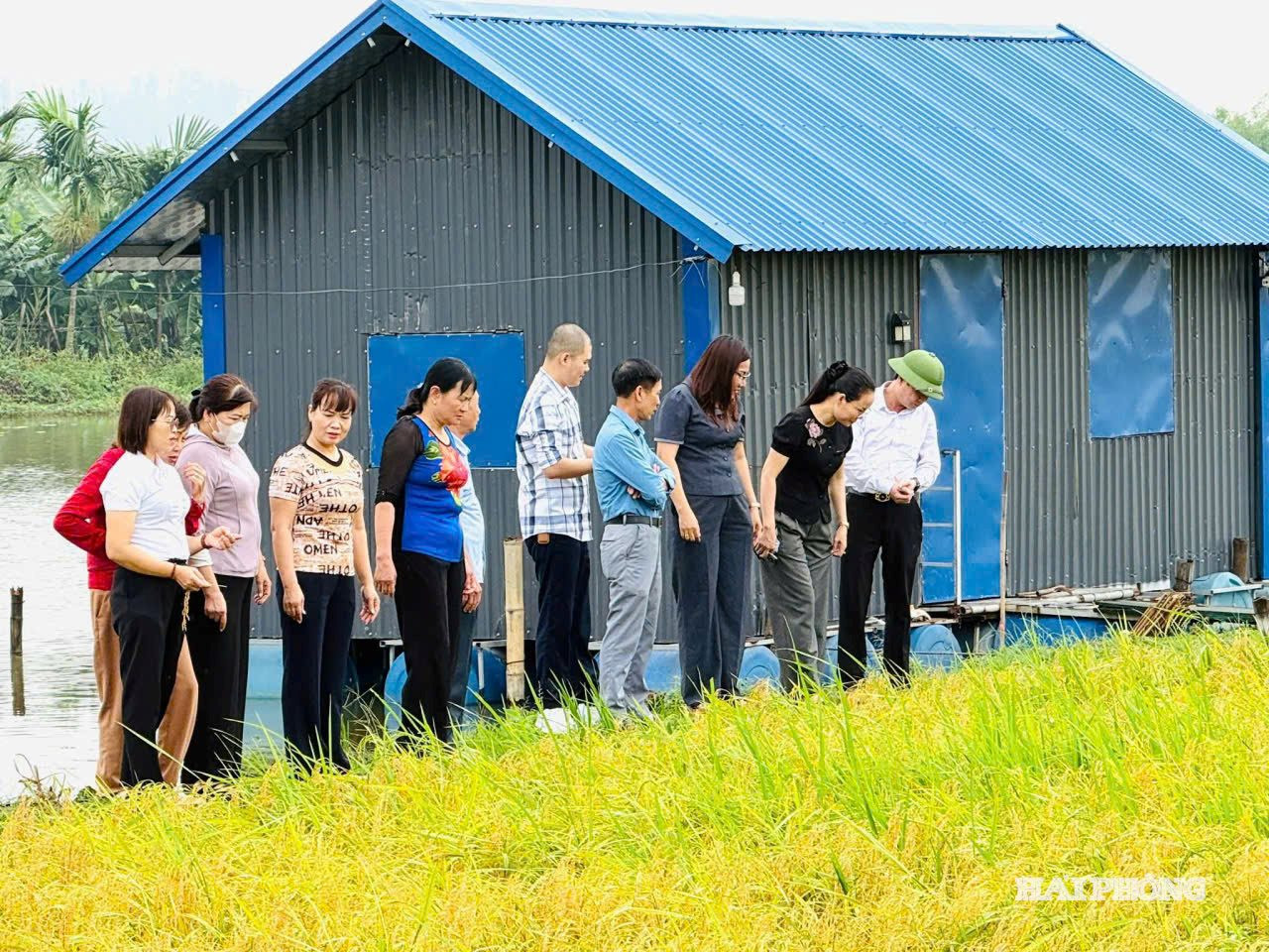 canh-dong-3-khong.jpg