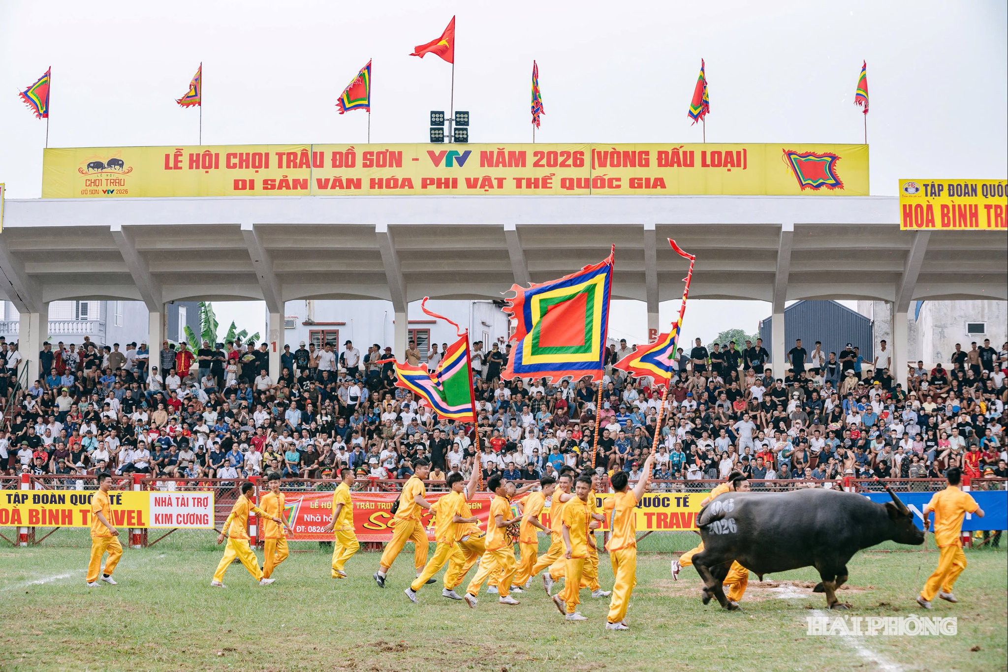 le-hoi-do-son1.jpg