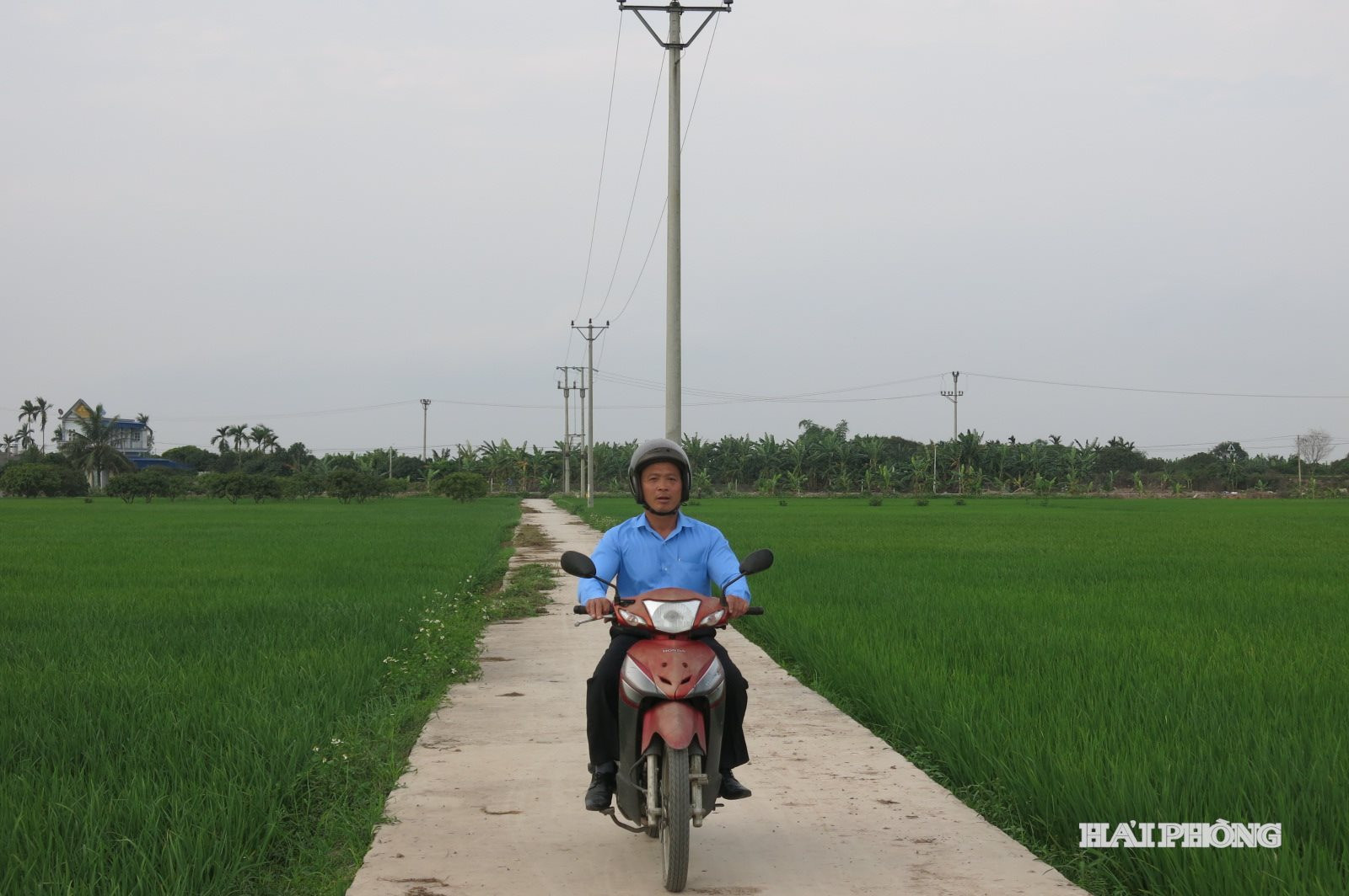nong-dan1(1).jpg