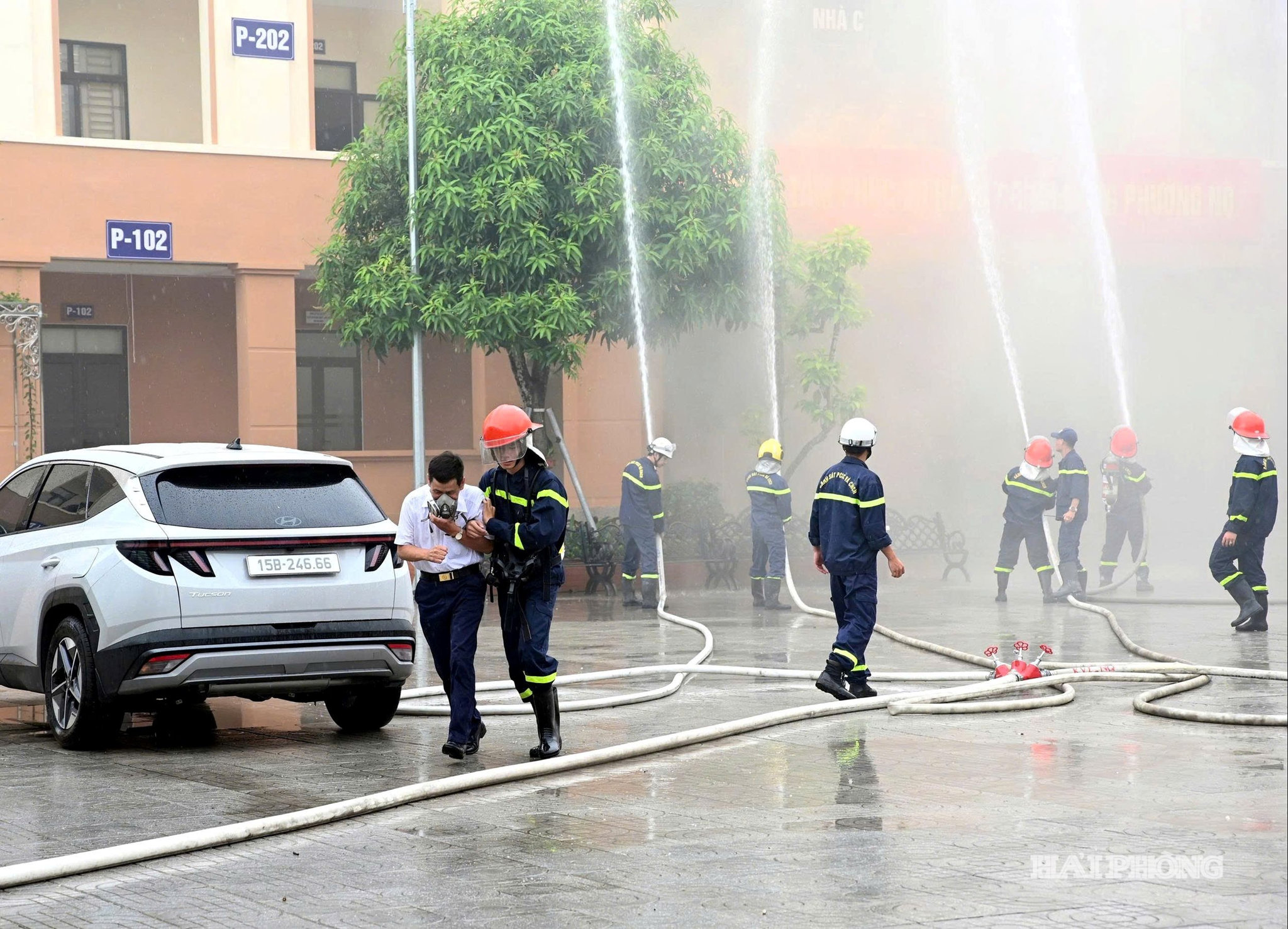 phong-thu5.jpg