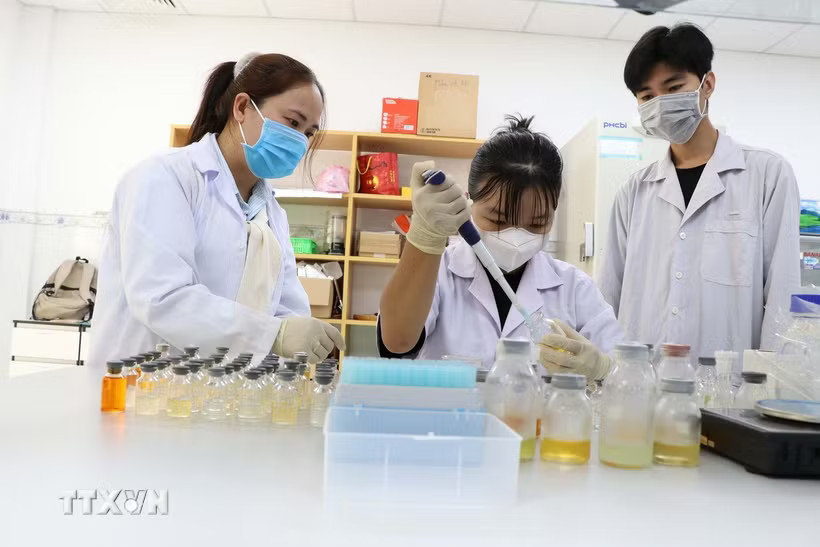 Hướng dẫn sinh viên thực tập trong phòng thí nghiệm tại Đại học Trà Vinh. (Ảnh: Thanh Hòa/TTXVN)