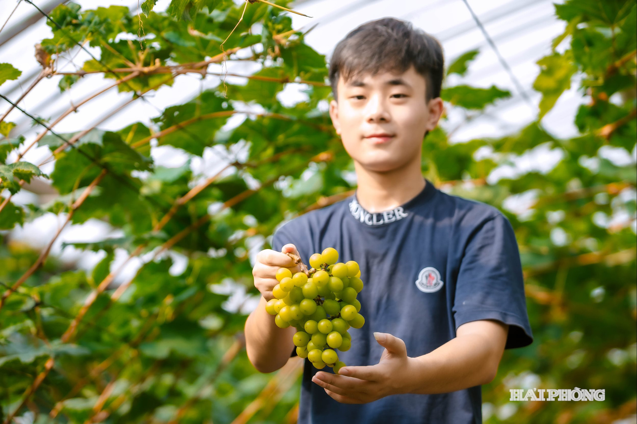nho-ai-quoc-8.jpg
