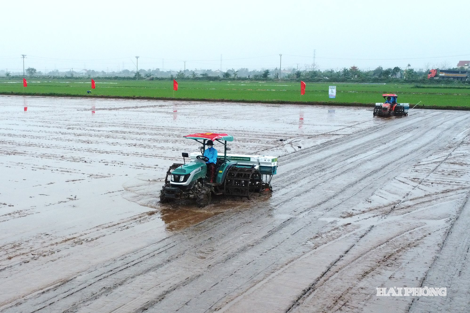 Ứng dụng công nghệ trong canh tác lúa phát thải thấp giúp giảm chi phí sản xuất, nâng cao năng suất, chất lượng lúa và bảo vệ môi trường. Đây là hướng đi có ý nghĩa quan trọng đối với nông nghiệp Hải Phòng. Trong ảnh: Mô hình trồng lúa phát thải thấp tại xã Tân An