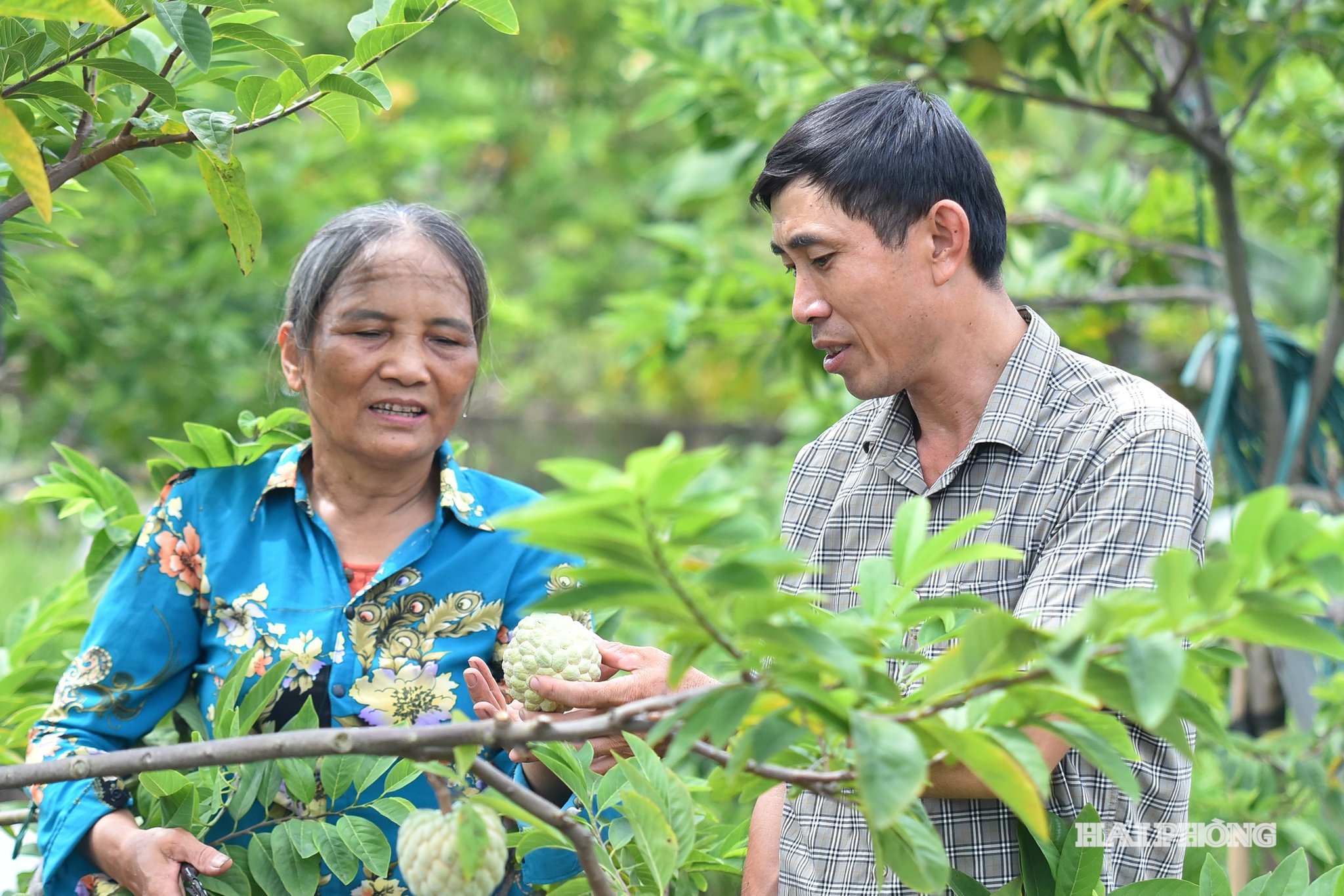 na viet khe2