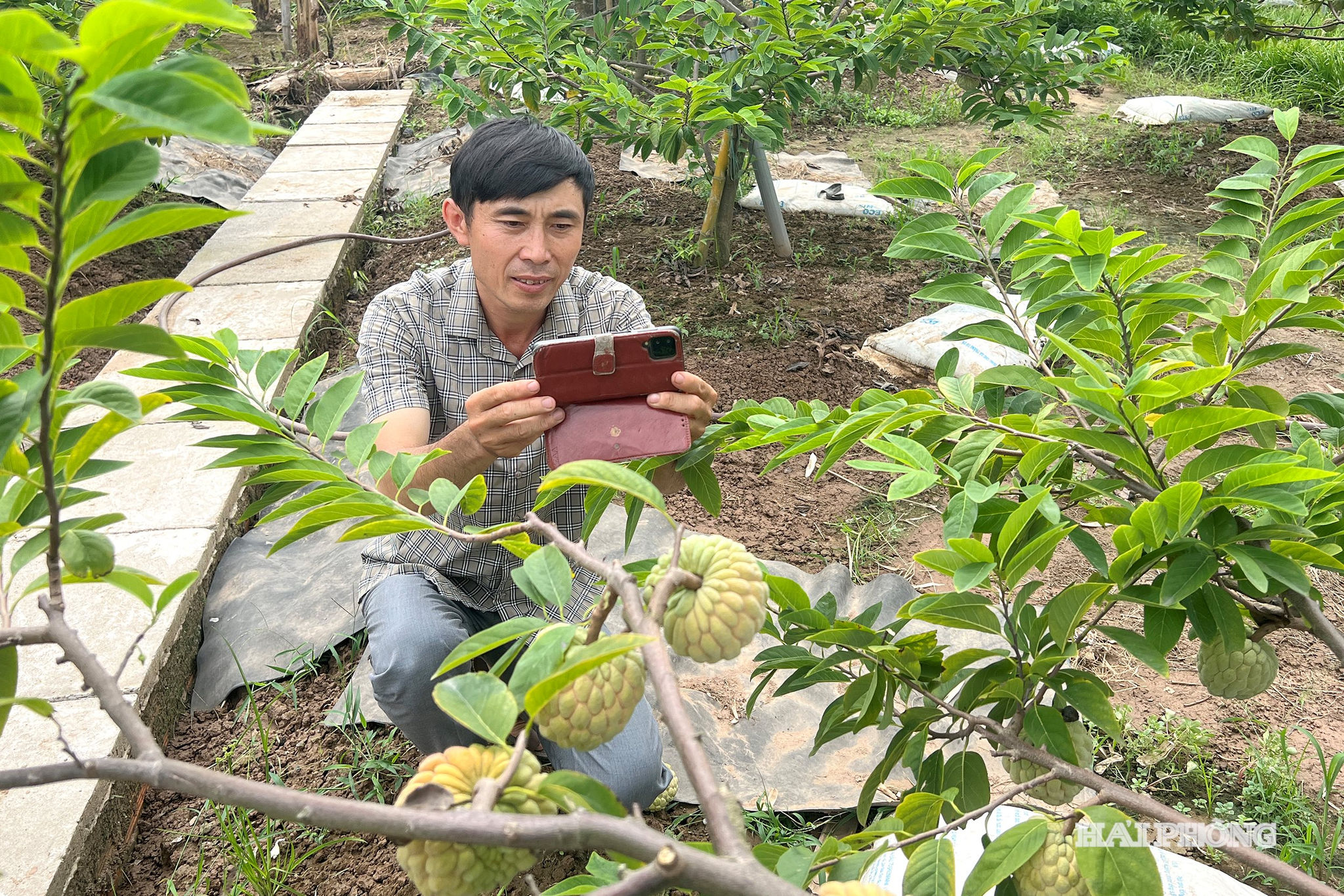 na viet khe9