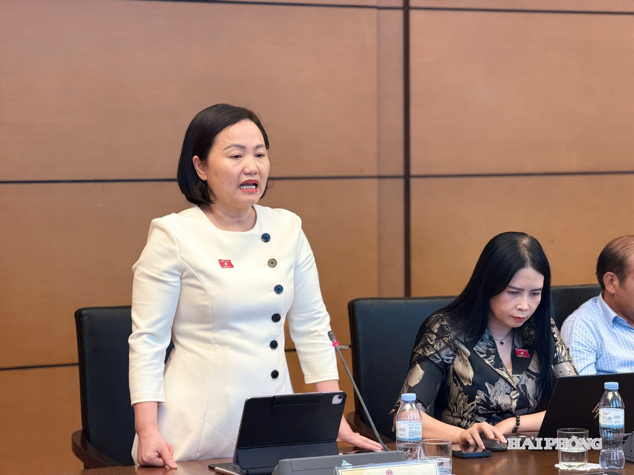 pham-thuy-chinh.jpg