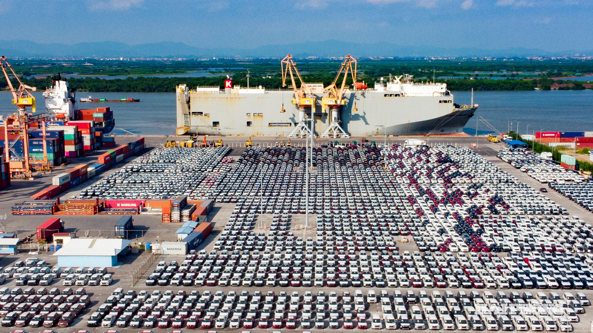 tau-roro-8.jpg