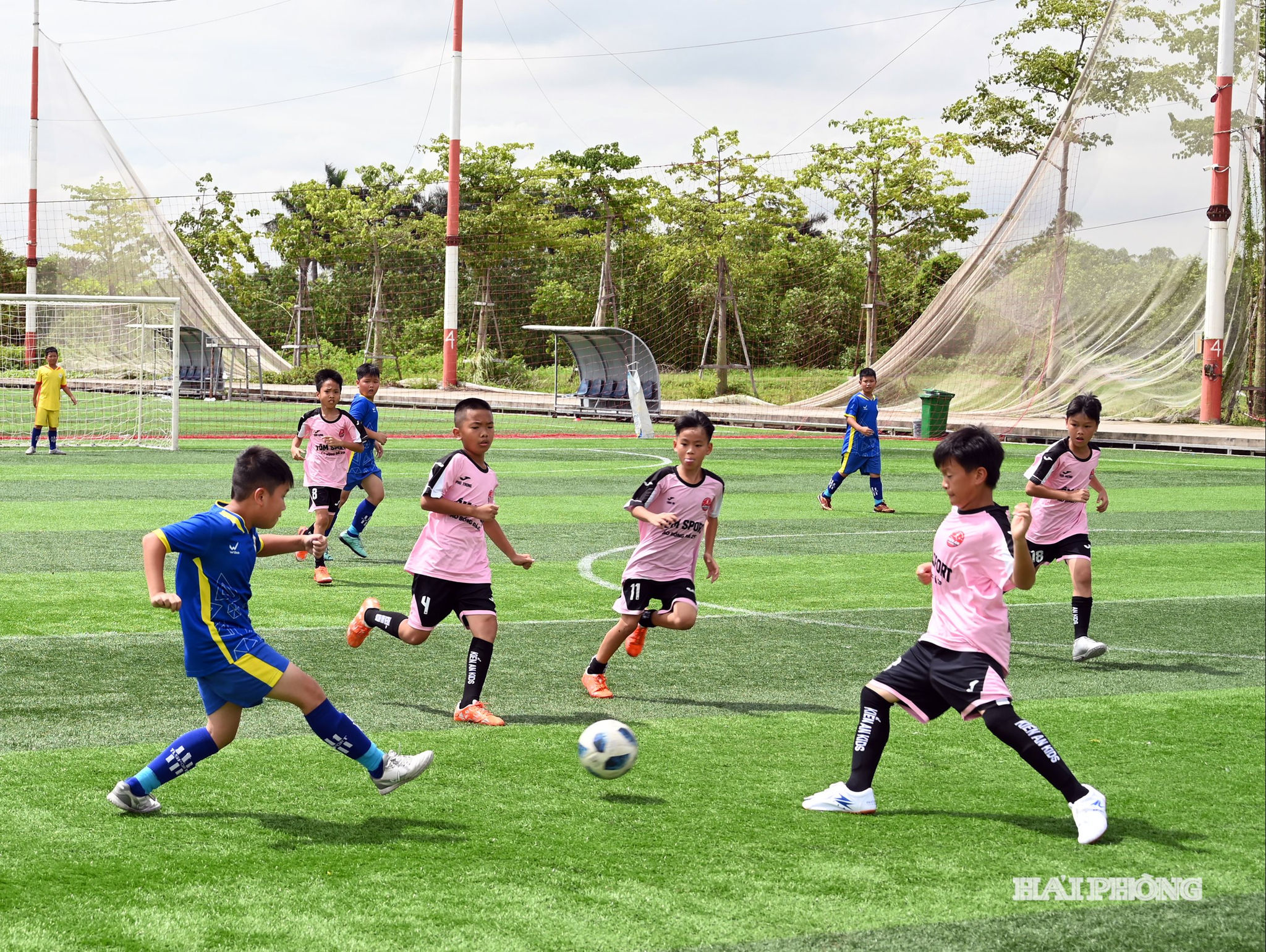u10-hoa-phuong1.jpg