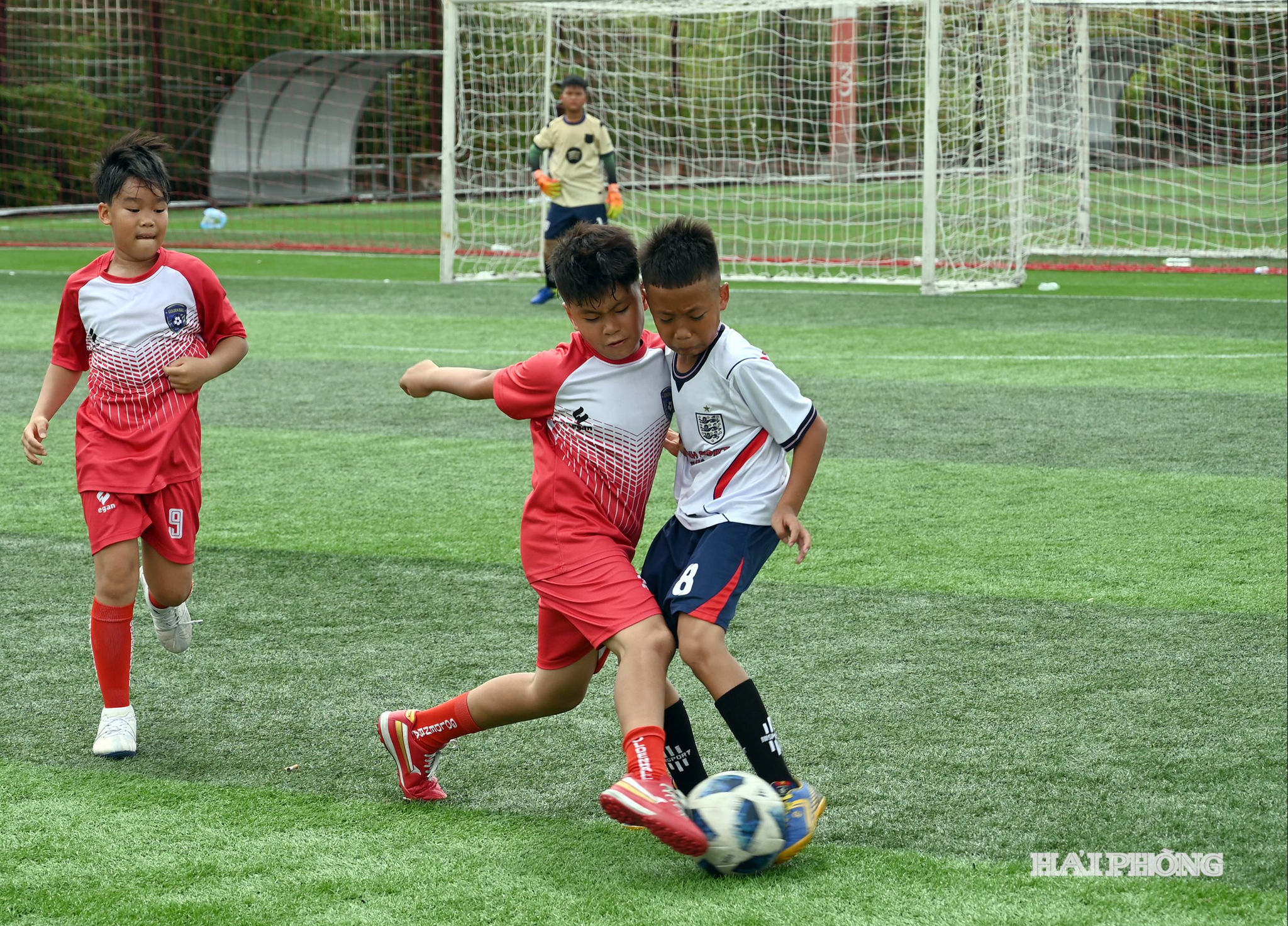 u10-hoa-phuong6.jpg