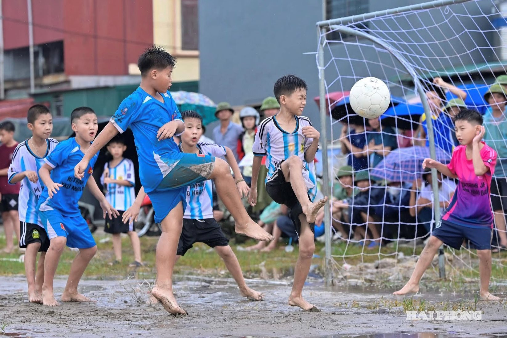 hoat-dong-he-202613.jpg