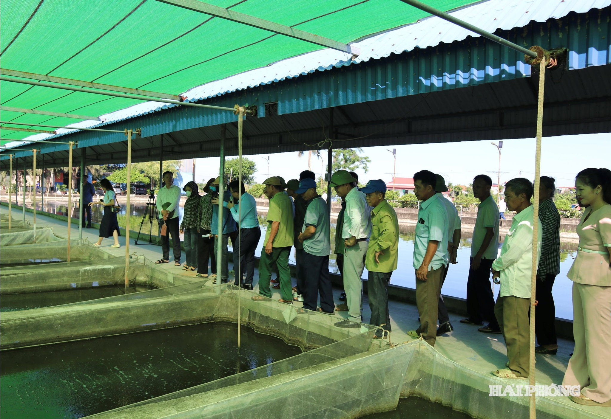 Các hộ nuôi cá tham quan, tìm hiểu mô hình sản xuất cá công nghệ cao tại Hợp tác xã Thủy sản Xuyên Việt.