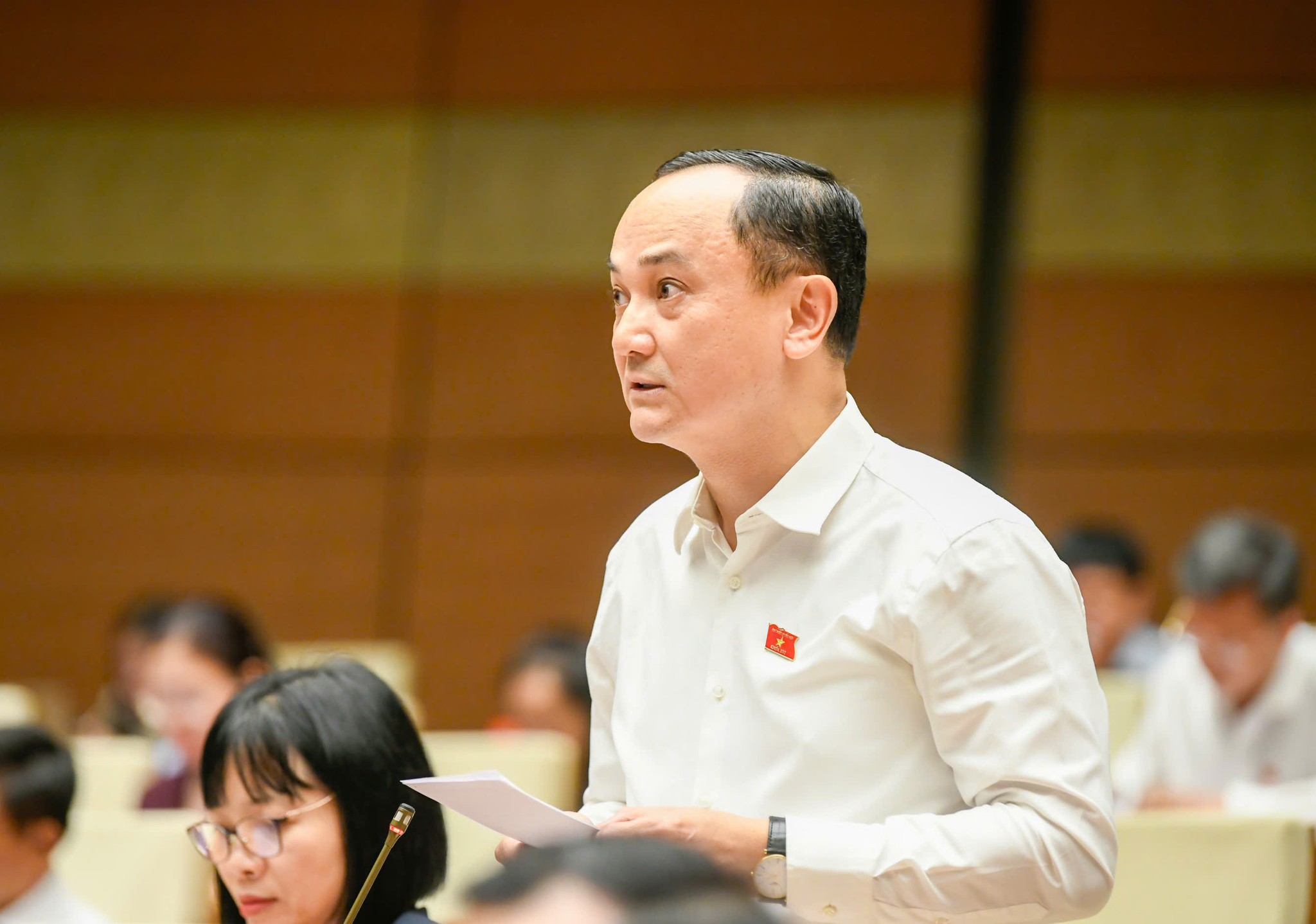 nguyen-ngoc-son-5a075f85b6610745ee4073cf2a7368de.jpg