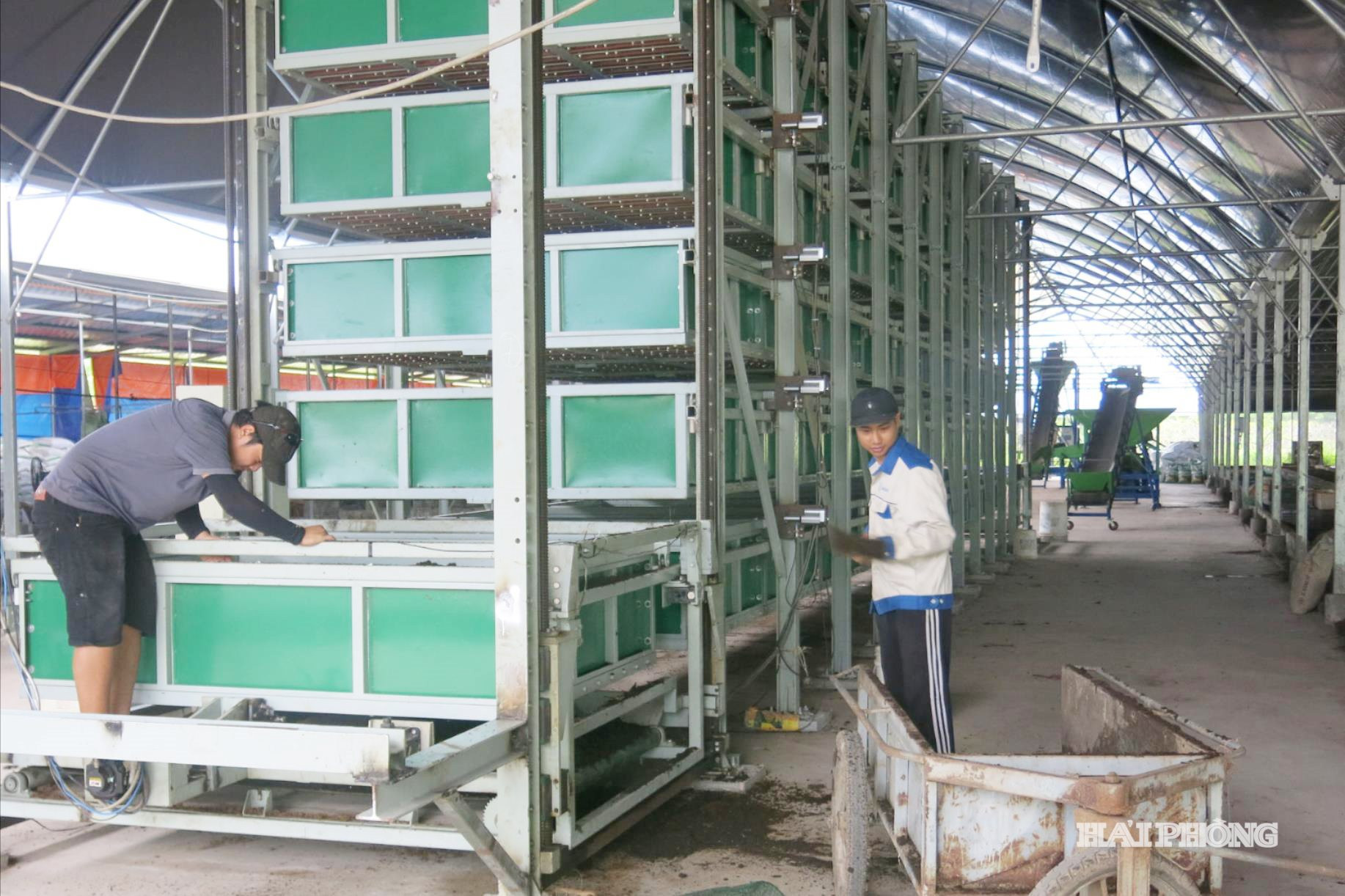Hợp tác xã Đầu tư và Phát triển Sông Giá vừa hợp tác, mua công nghệ nước ngoài để đầu tư giàn nuôi giun trùn quế.