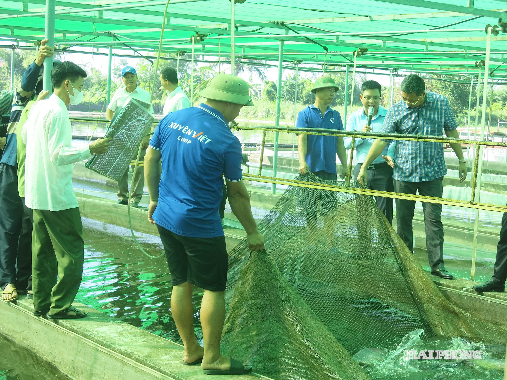 Hợp tác xã Xuyên Việt có nhiều sản phẩm xuất khẩu sang các nước.