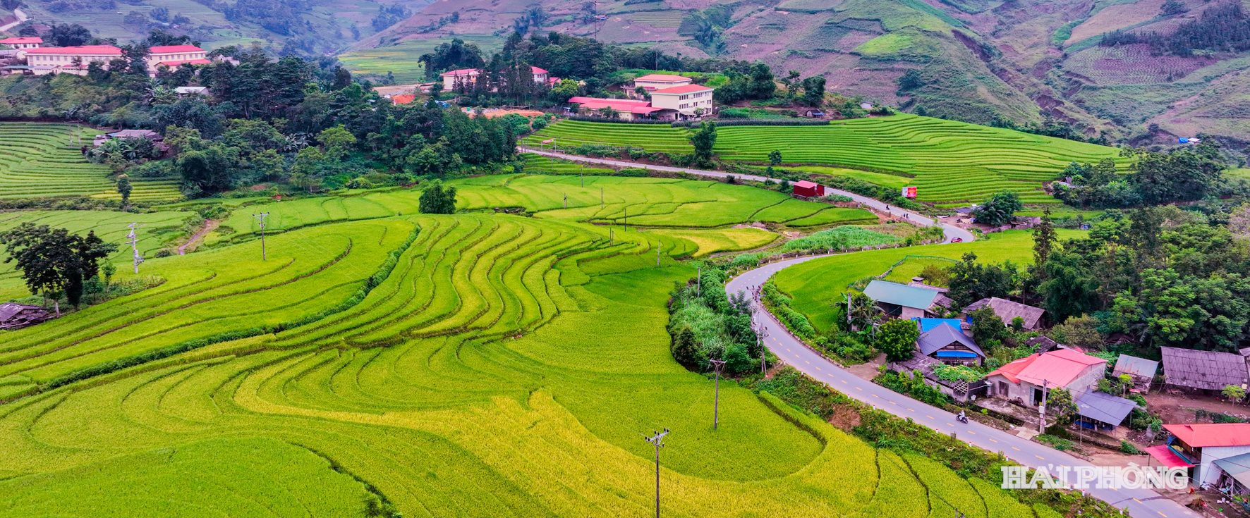 ytylaocai (11)