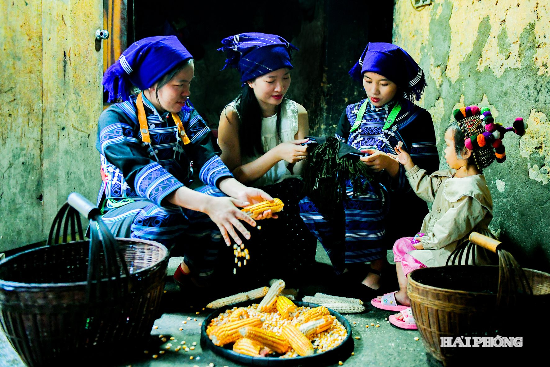 ytylaocai (5)
