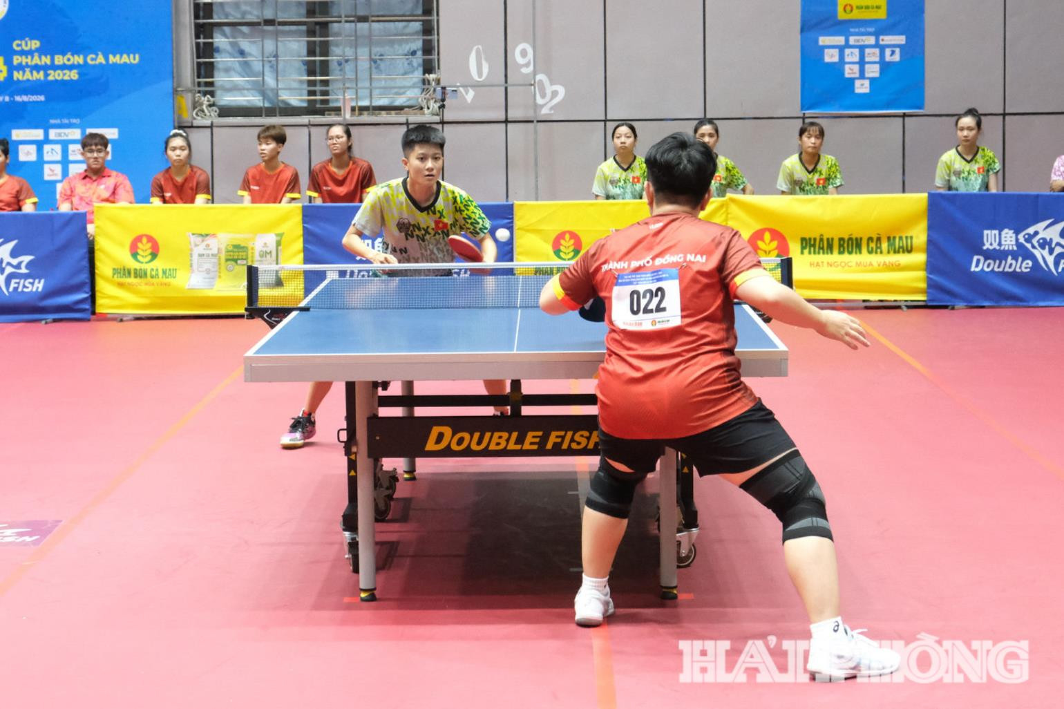 ngoc-lan1(1).jpg