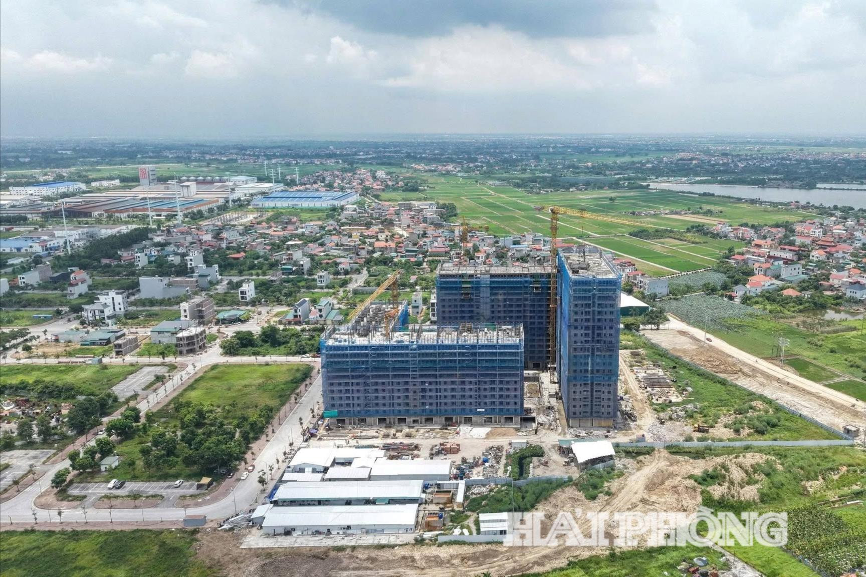 tan-truong(1).jpg