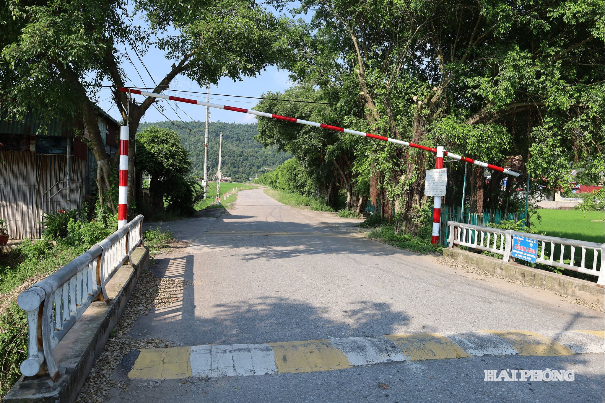 cau-dan-sinh(1).jpg