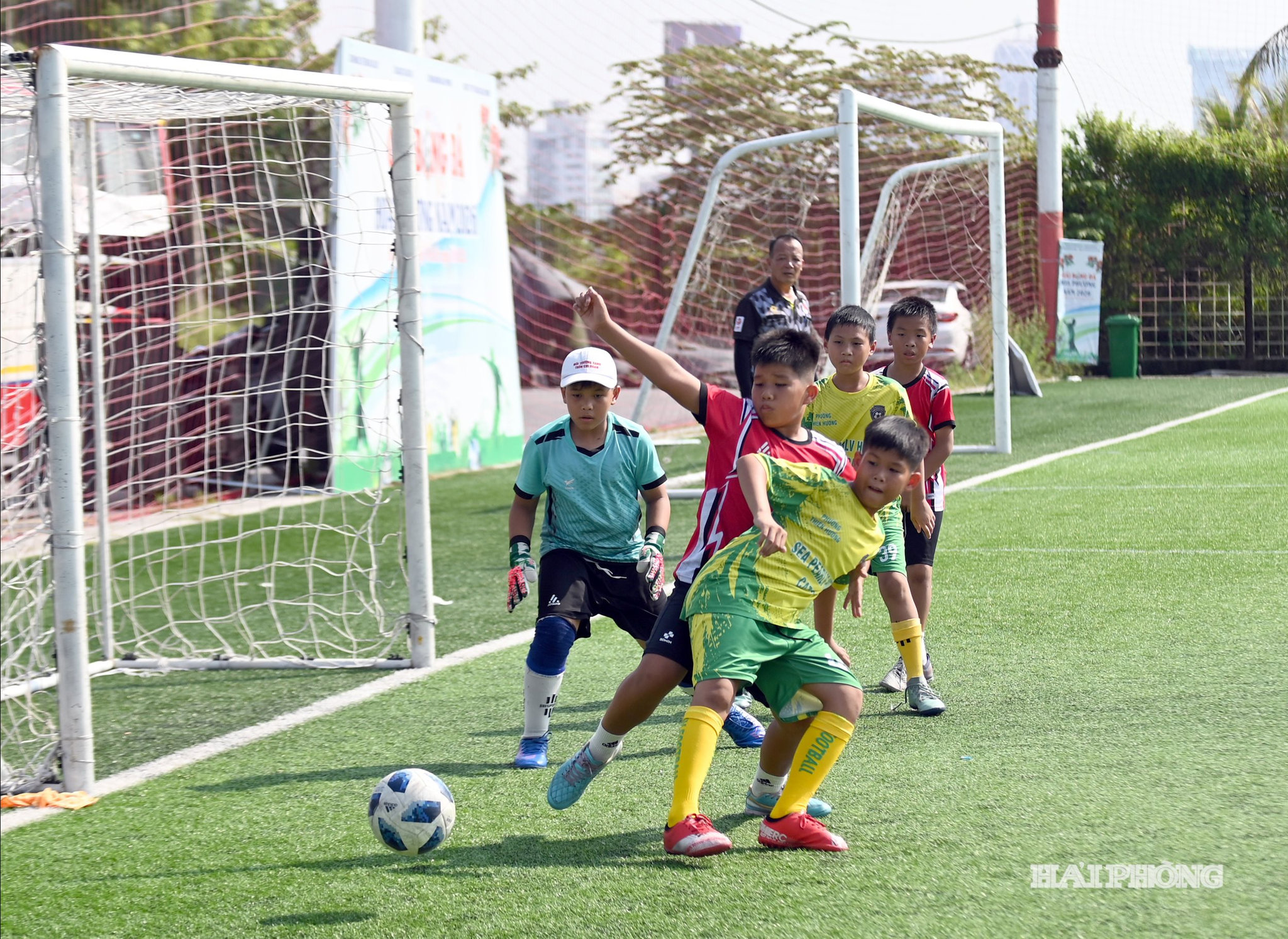cup-hoa-phong-nd2.jpg