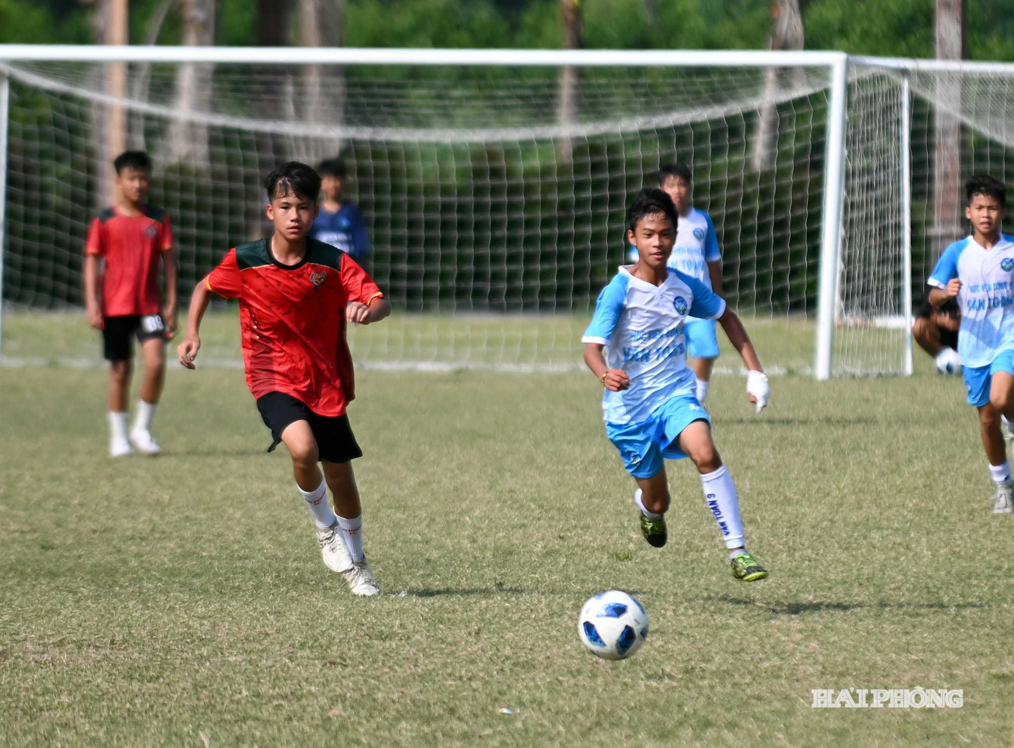 cup-hoa-phong-tn4.jpg