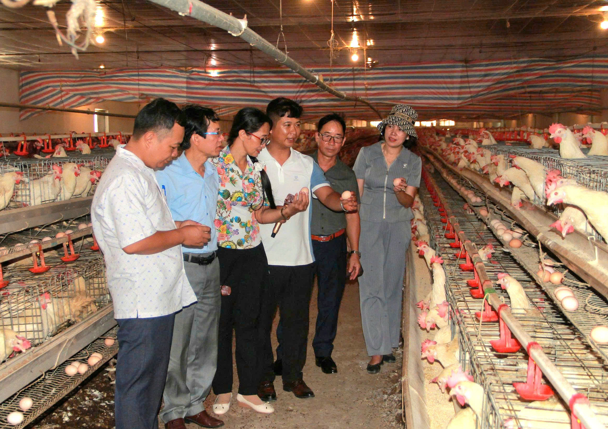 tham-quan-b415ec8f0400463b9685887efd9144dd.jpg