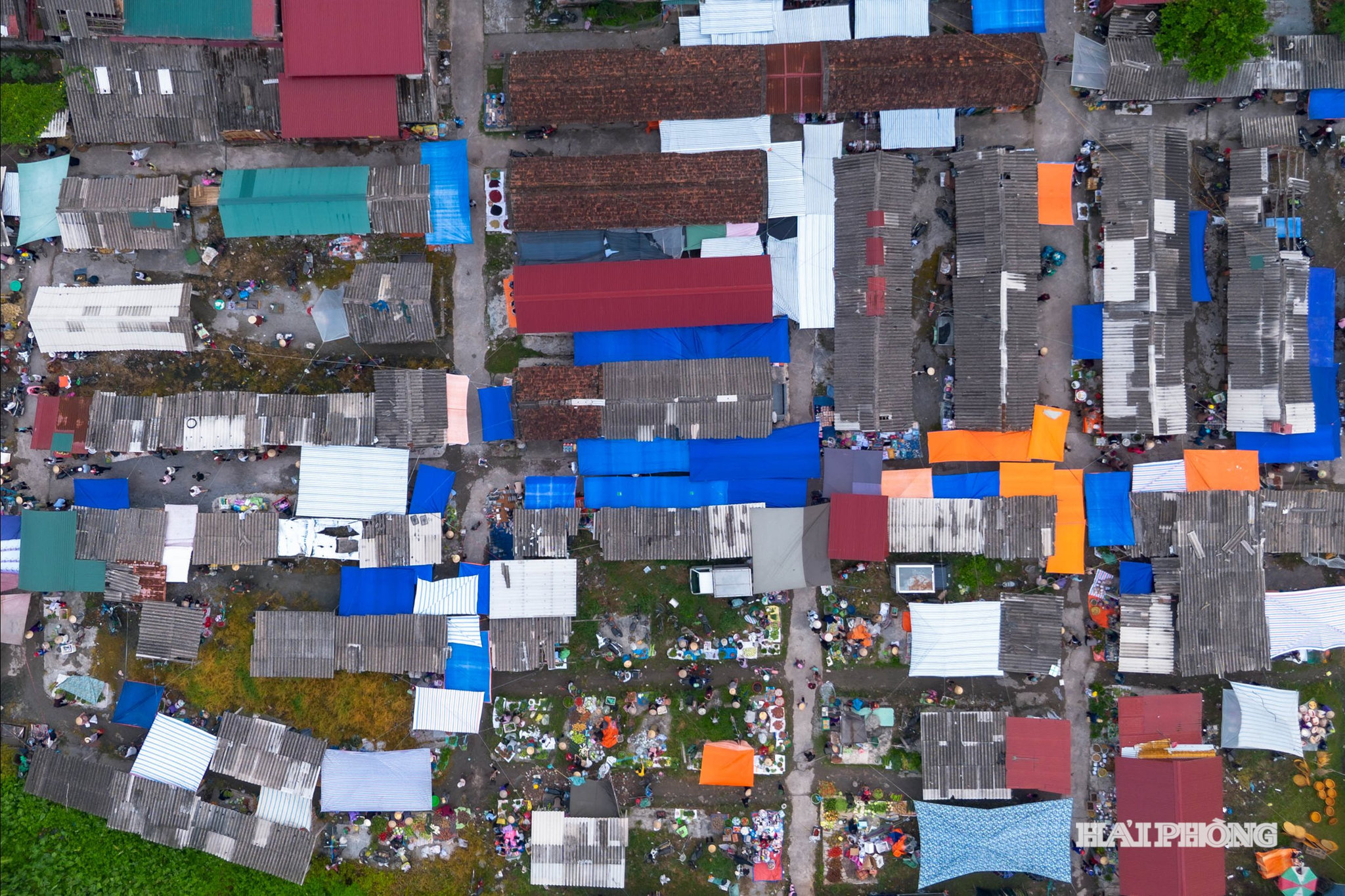 dji_0957.jpg