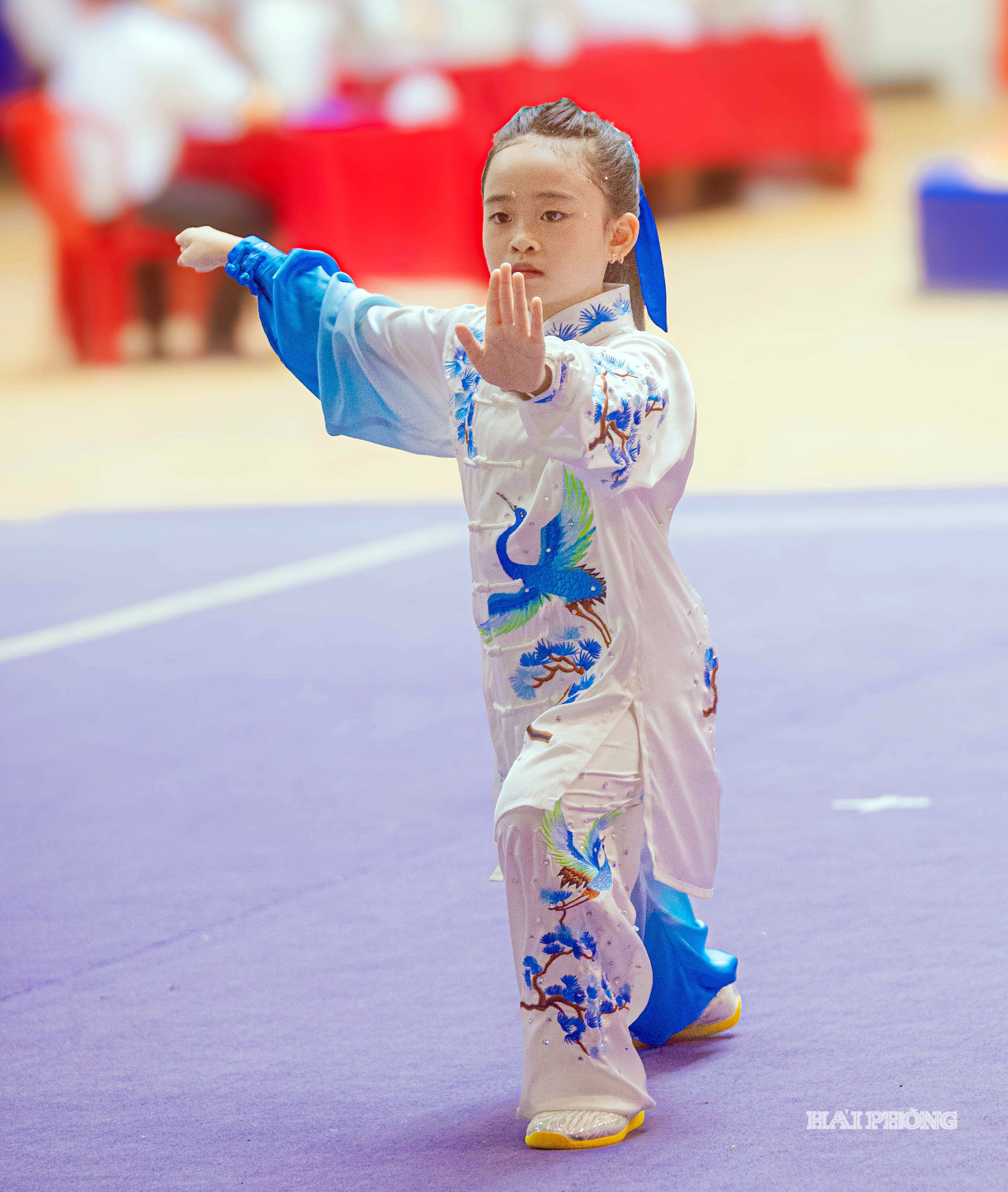 Wushu- hai-phong