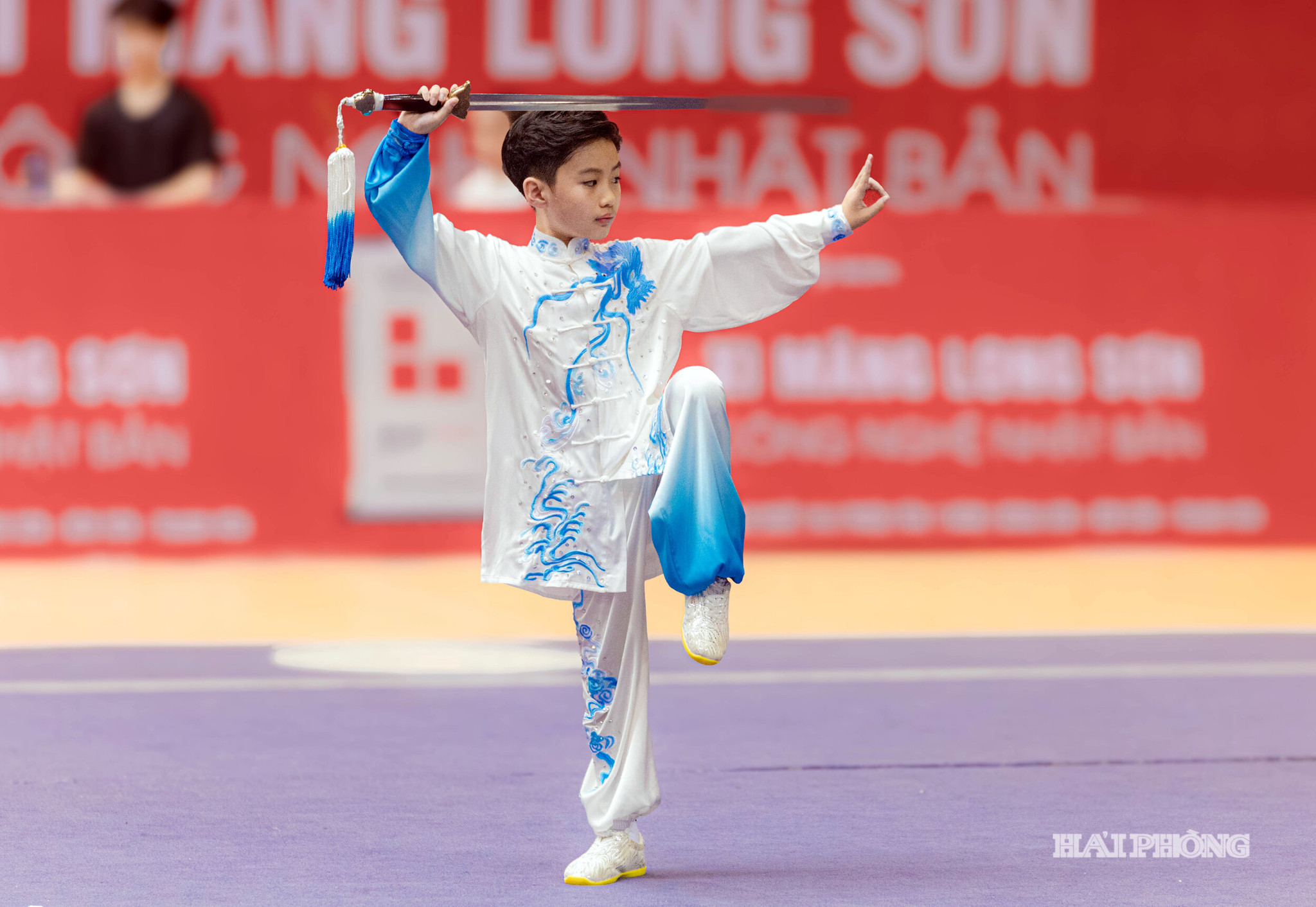 Wushu- hai-phong9