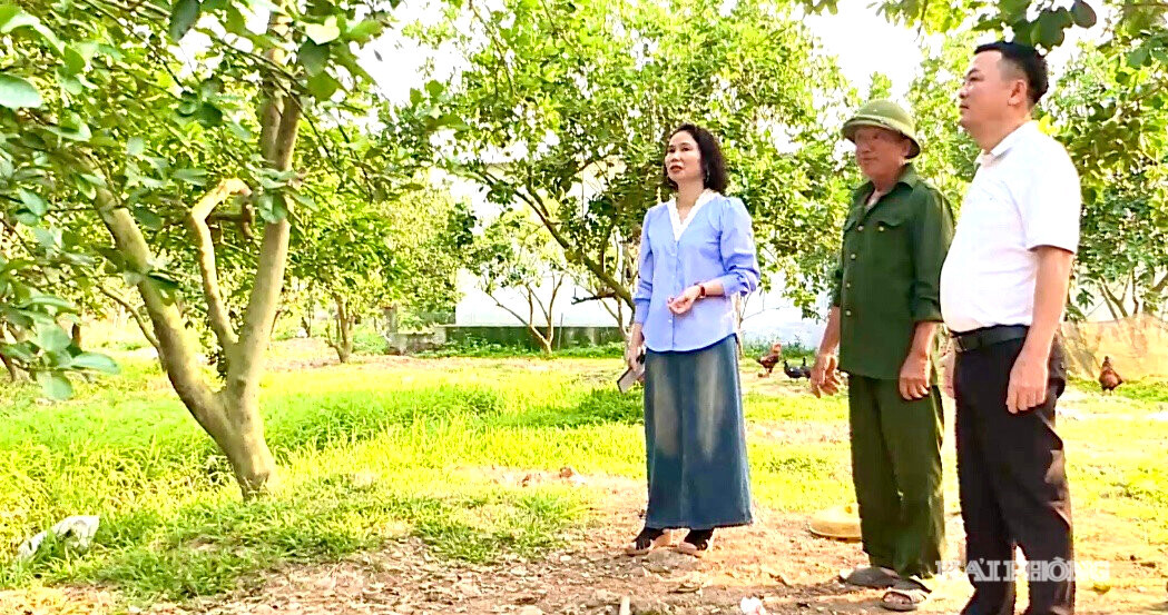 cong-nghe-cao(1).jpg