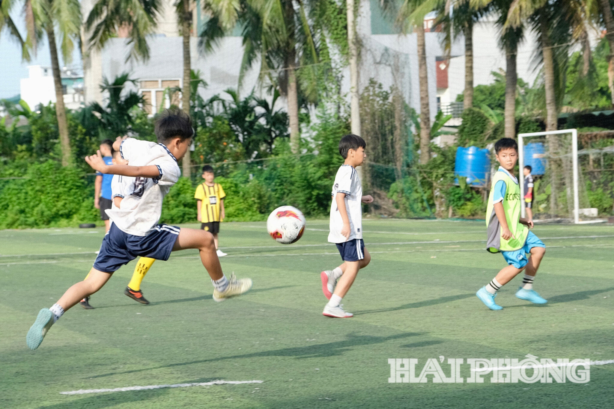 tan-binh1(1).jpg